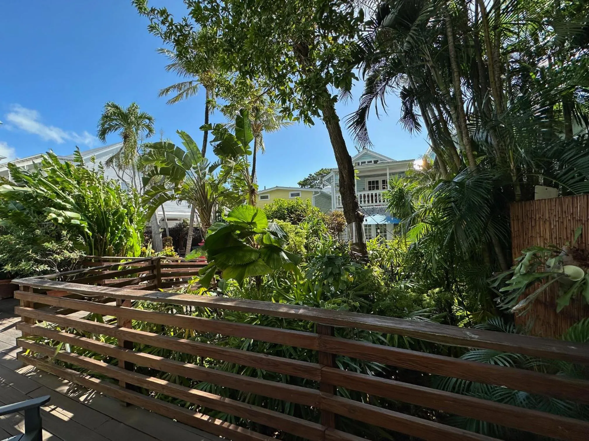 Garden view in Douglas House