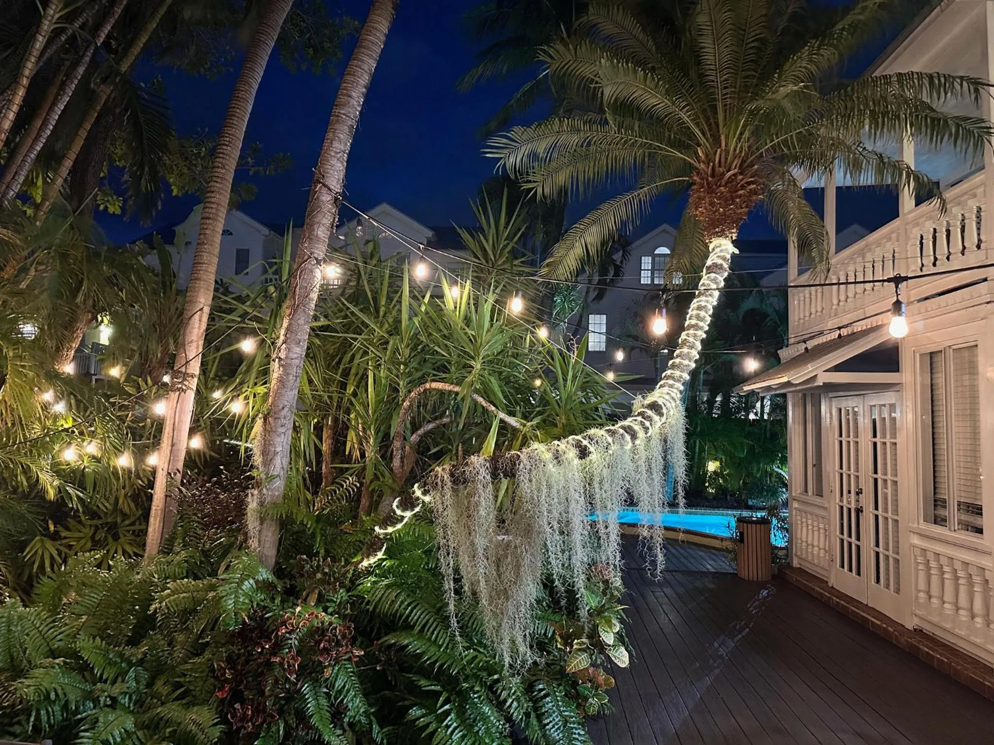 Night in Douglas House