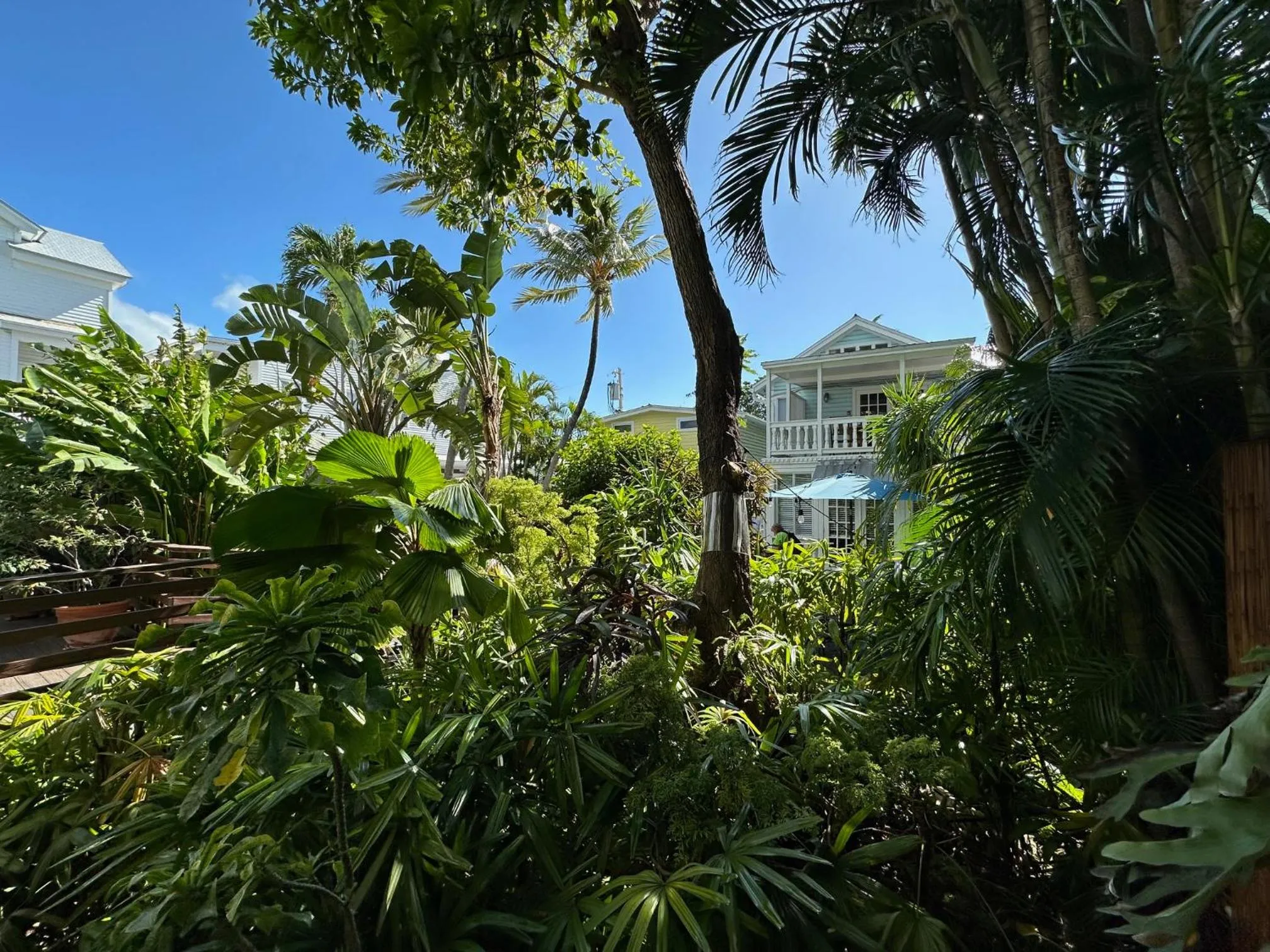 Garden view in Douglas House