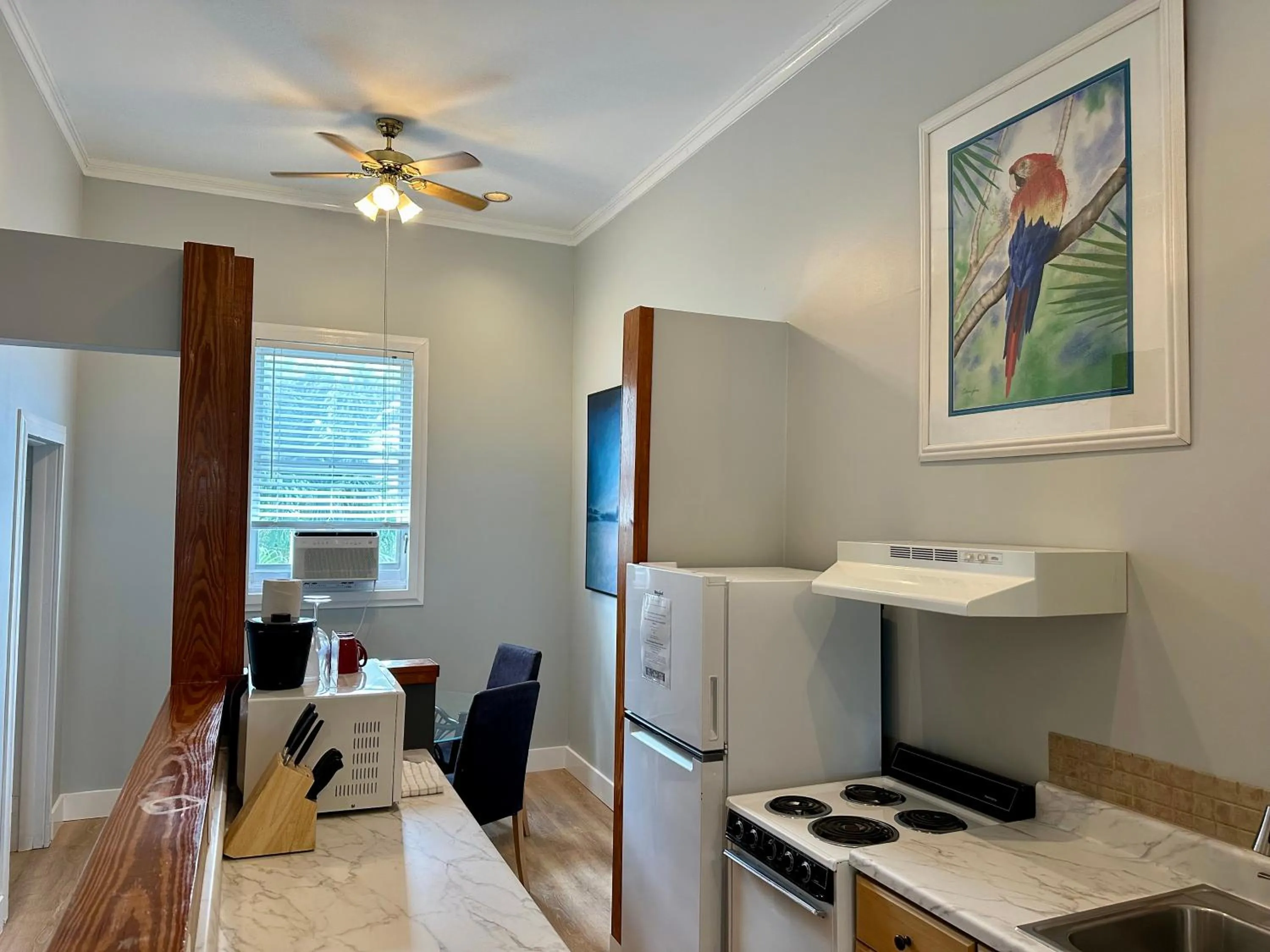 Kitchen or kitchenette in Douglas House
