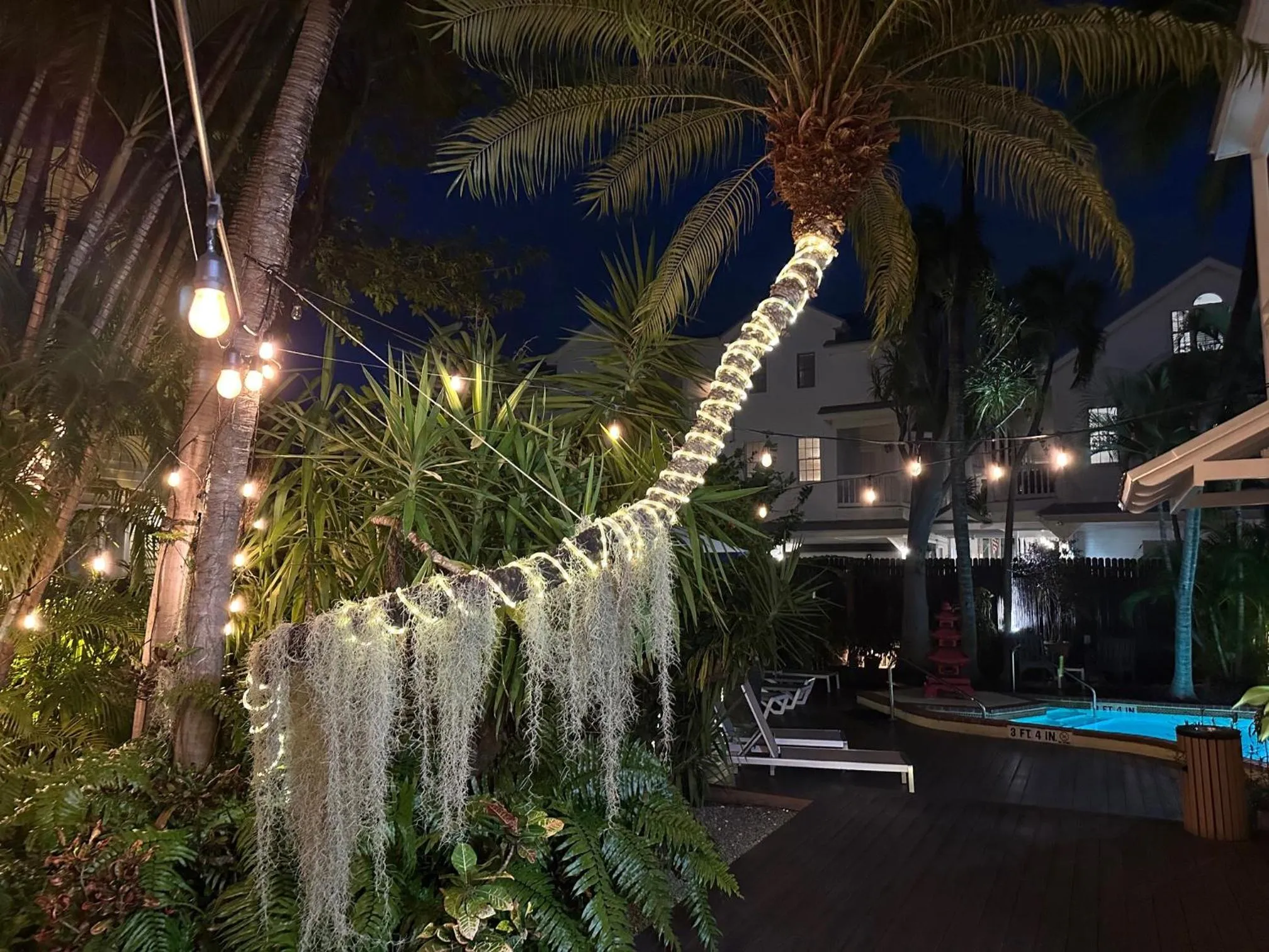 Night in Douglas House