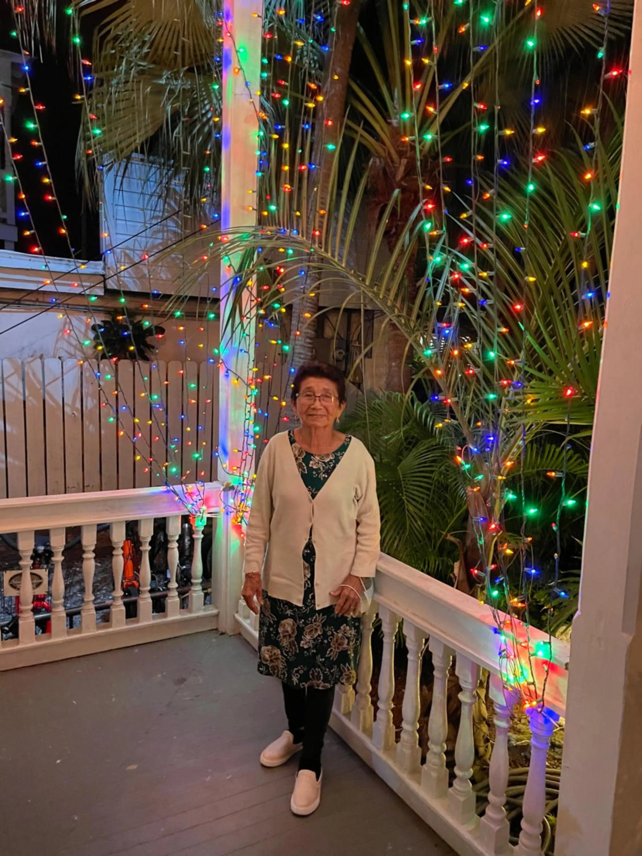 Natural landscape in The Palms Hotel