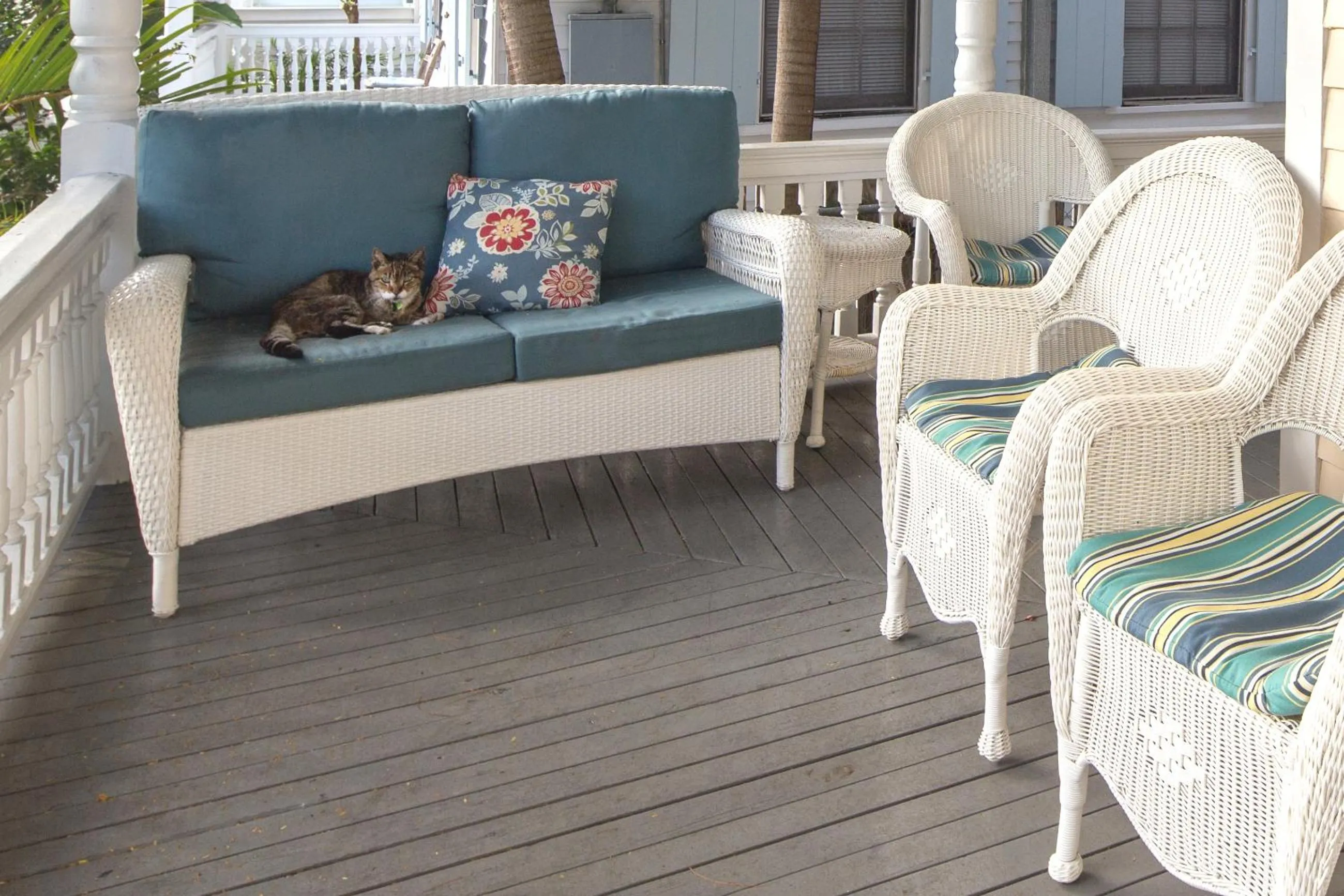 Balcony/Terrace in The Palms Hotel