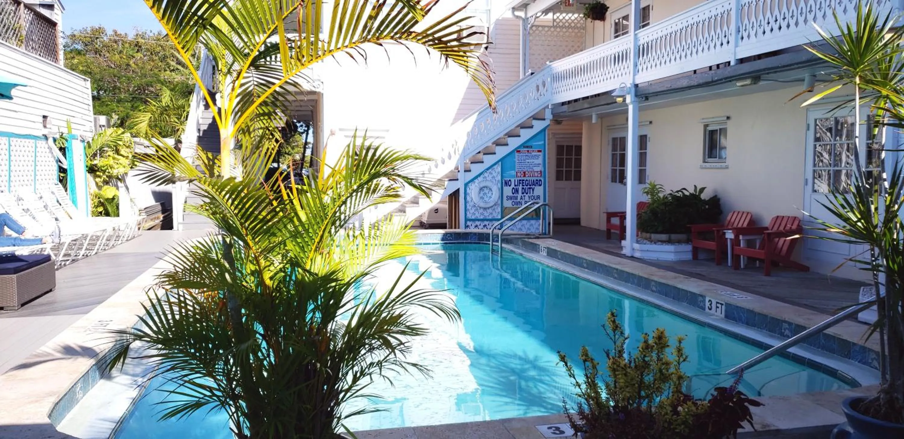 Pool view in The Palms Hotel