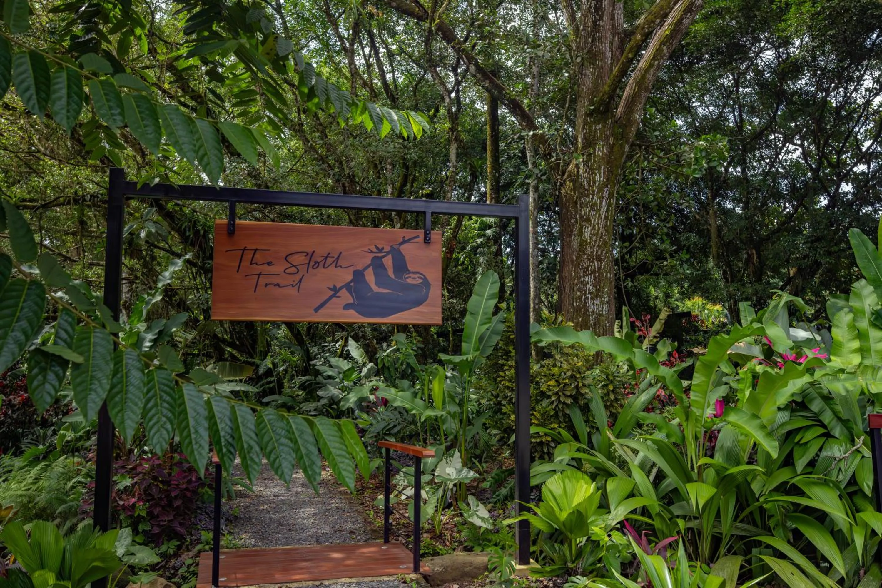 Hiking in Noah's Forest Hotel by Tifakara