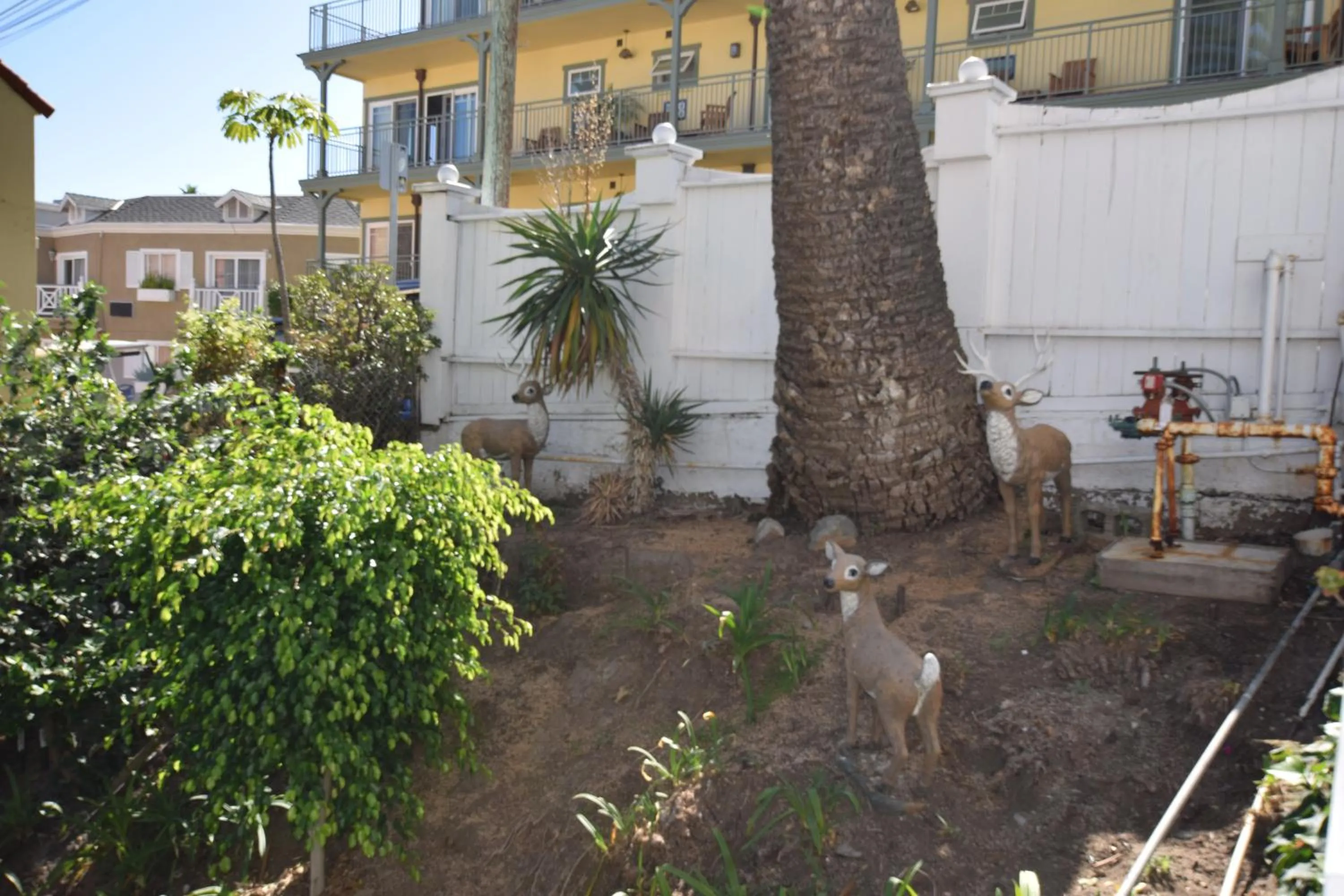 Property building in Hotel Catalina