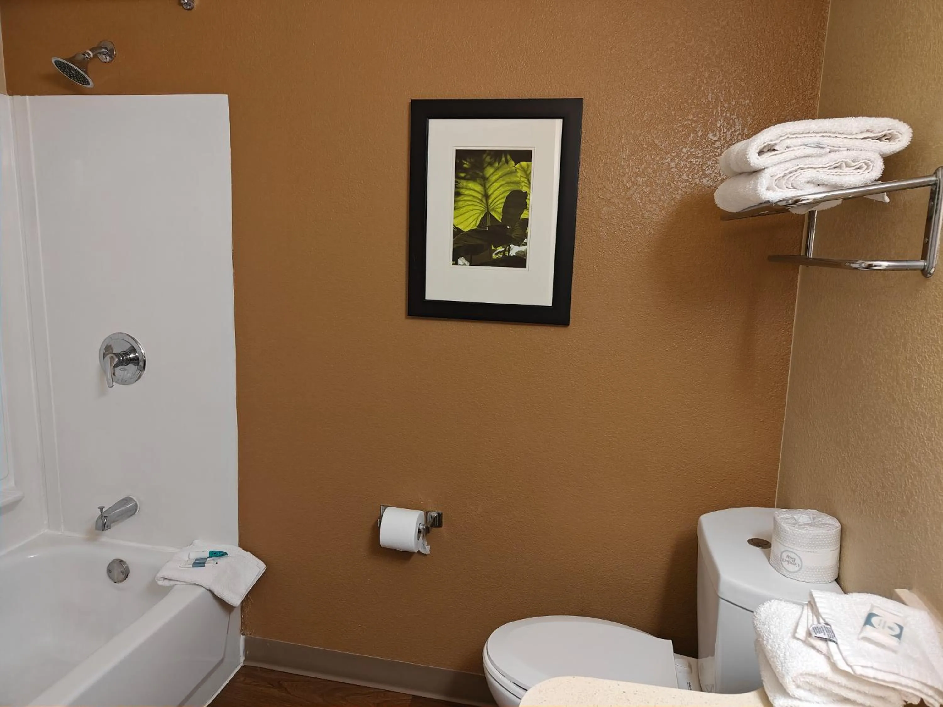 Deluxe King Room - Non-Smoking in Hawthorn Extended Stay by Wyndham DFW Airport North