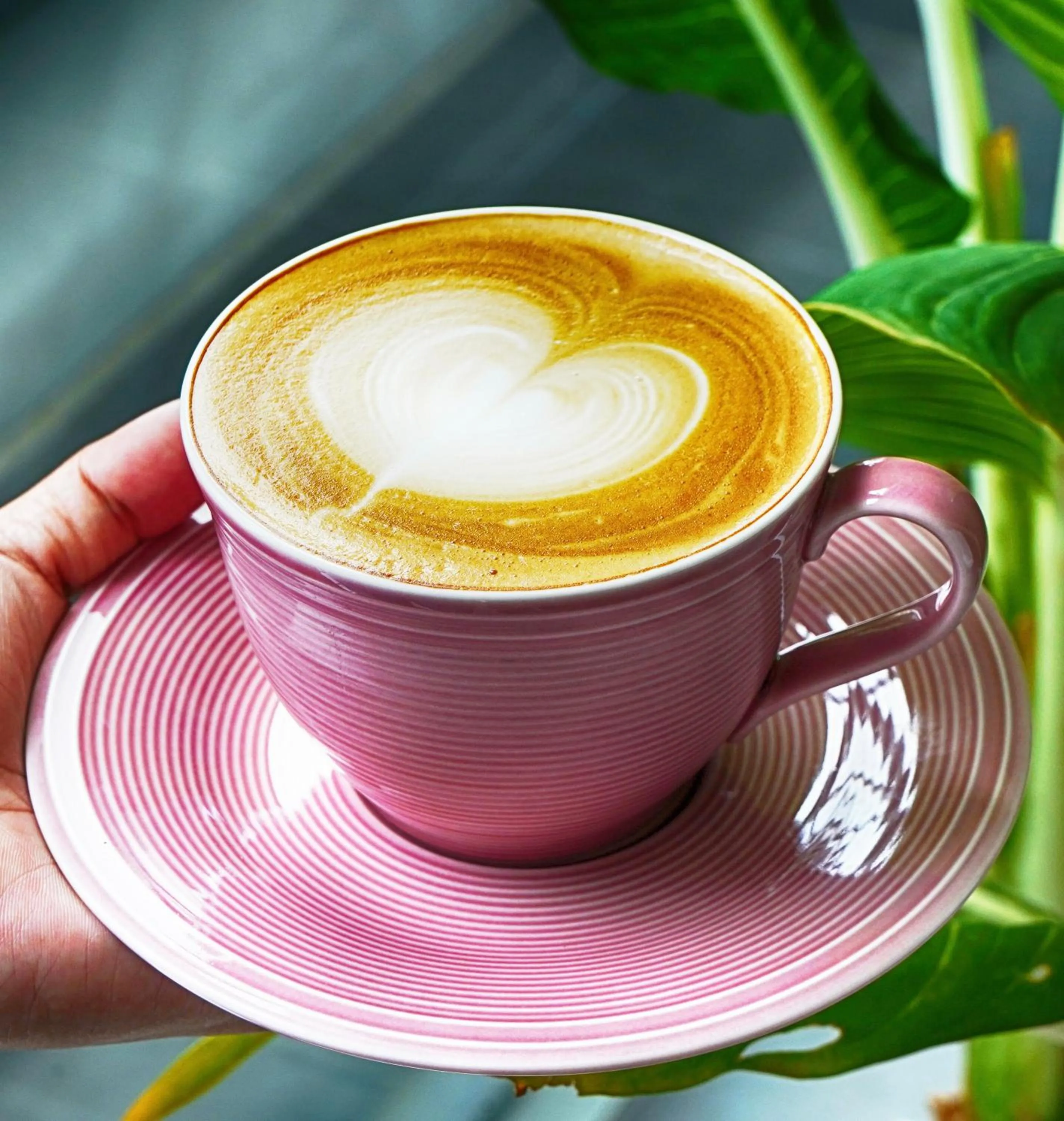 Breakfast in Roost Glamping - SHA Certified