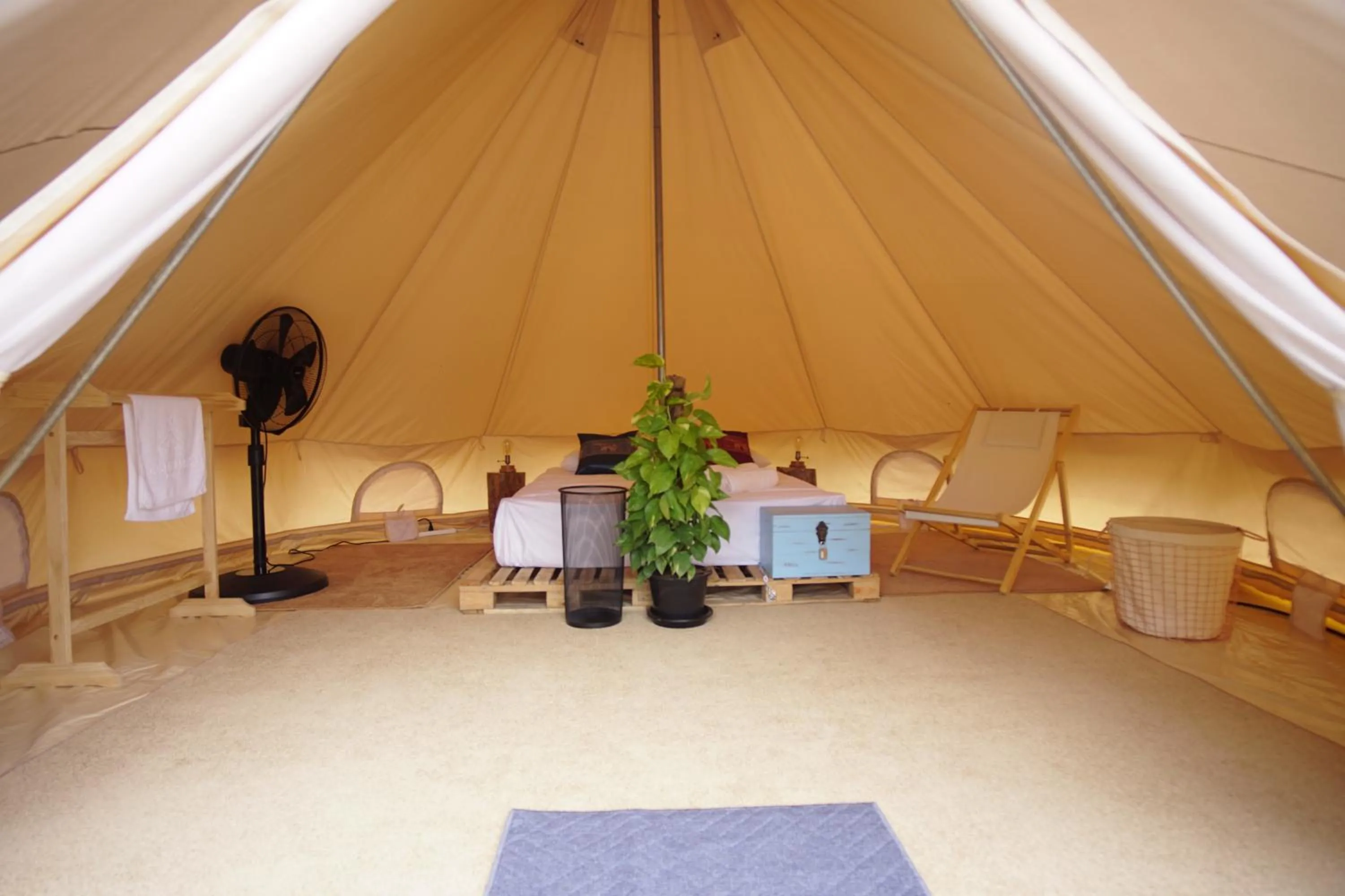 Photo of the whole room in Roost Glamping - SHA Certified