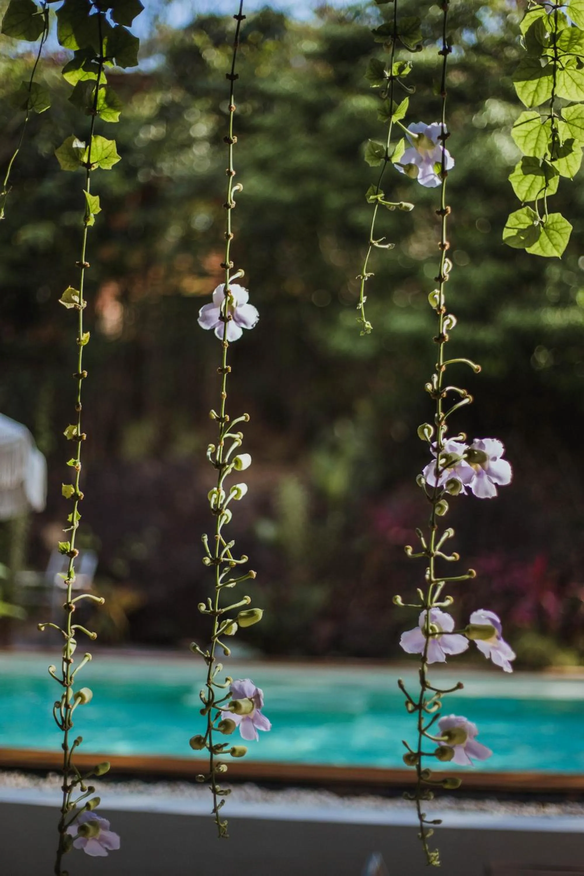 Restaurant/places to eat in Roost Glamping - SHA Certified