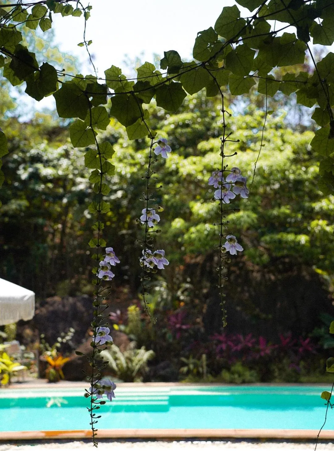 Restaurant/places to eat in Roost Glamping - SHA Certified