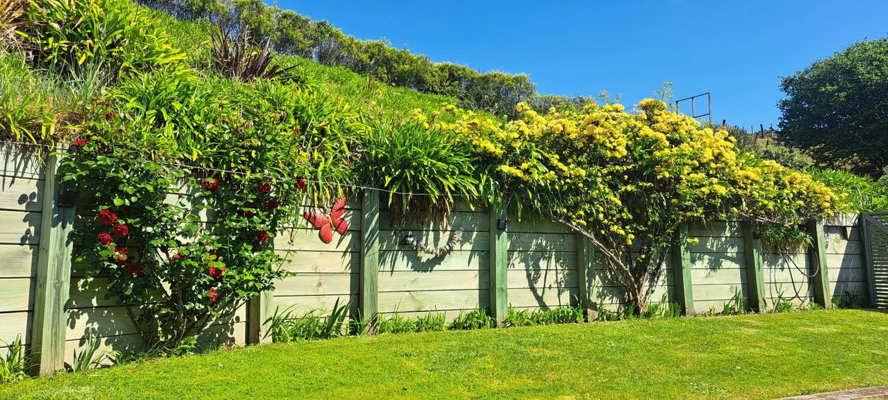 Hidden Gem in Oaklands