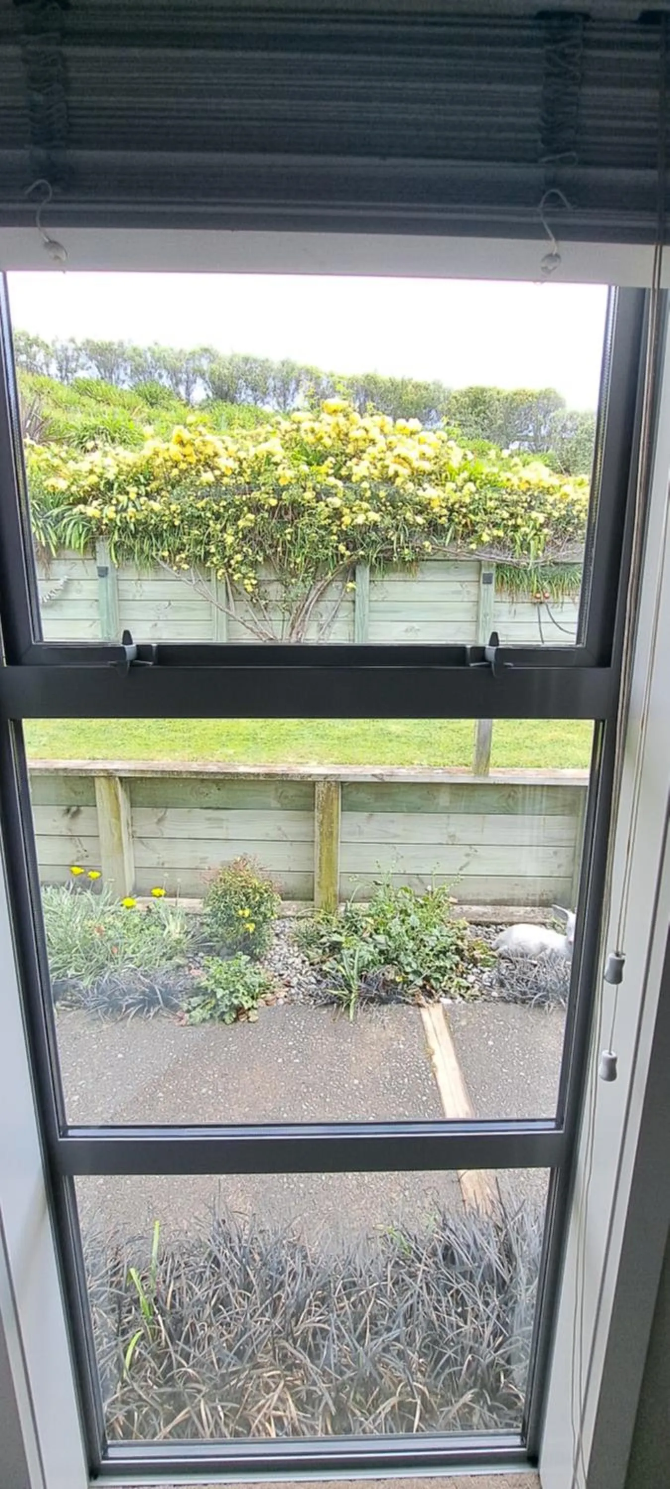 Hidden Gem in Oaklands