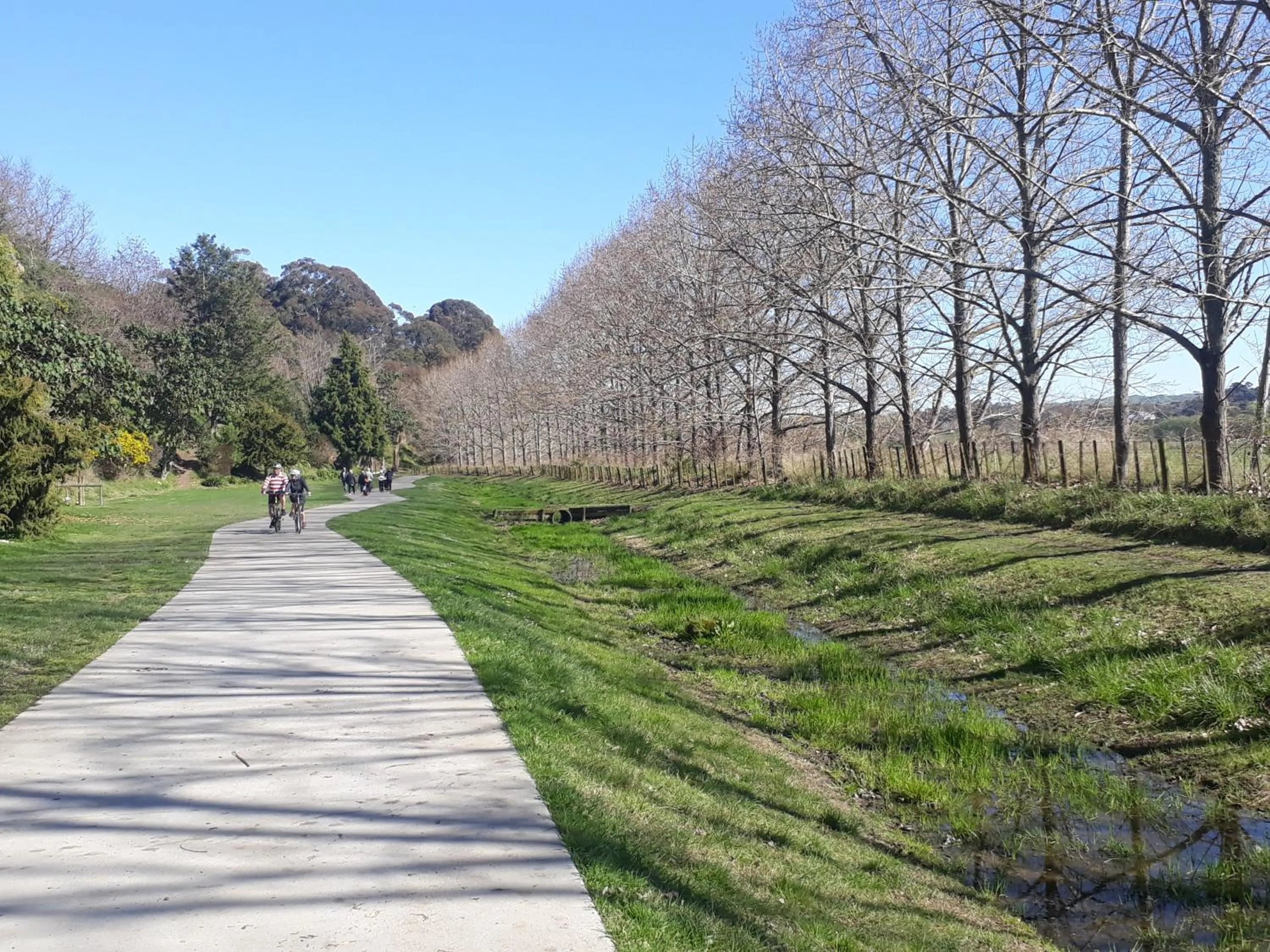 Hidden Gem in Oaklands