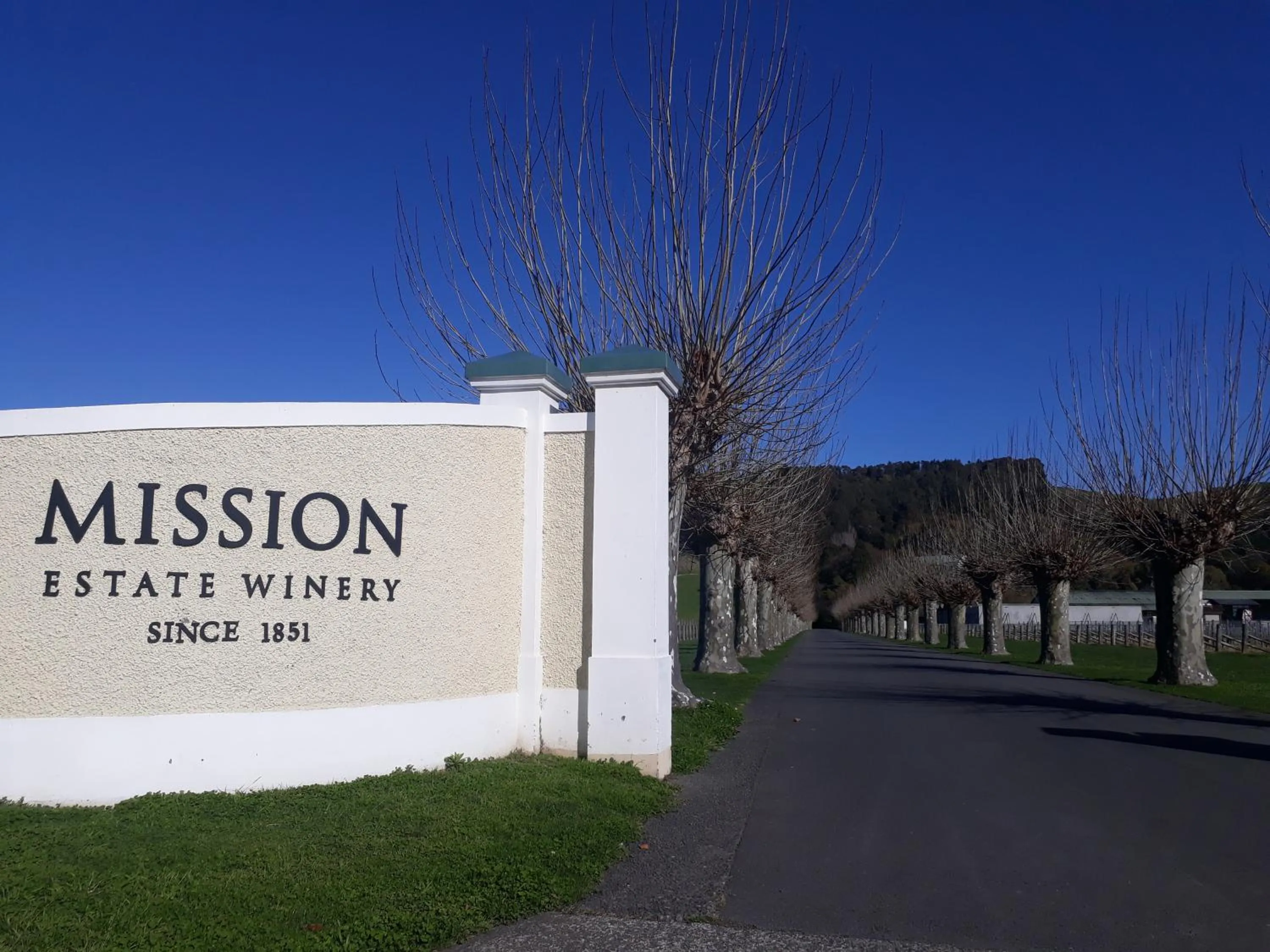 Hidden Gem in Oaklands