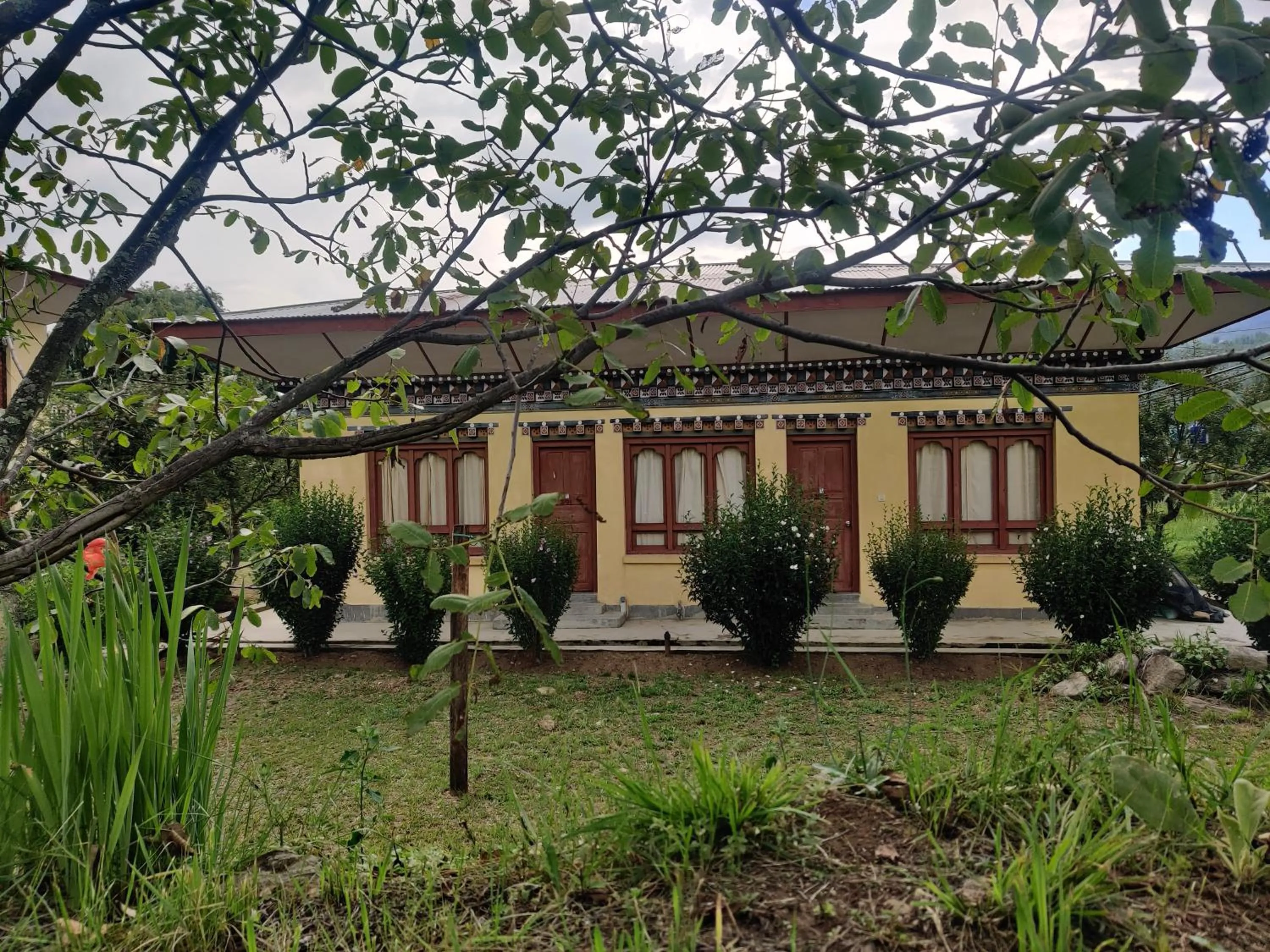 Garden in Nirvana Lodge