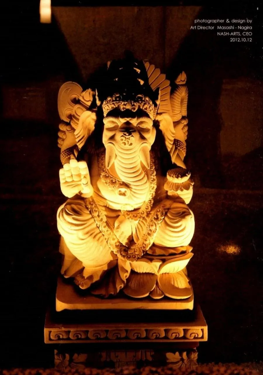 Decorative detail in INDIGO GEO HOUSE #Ds1