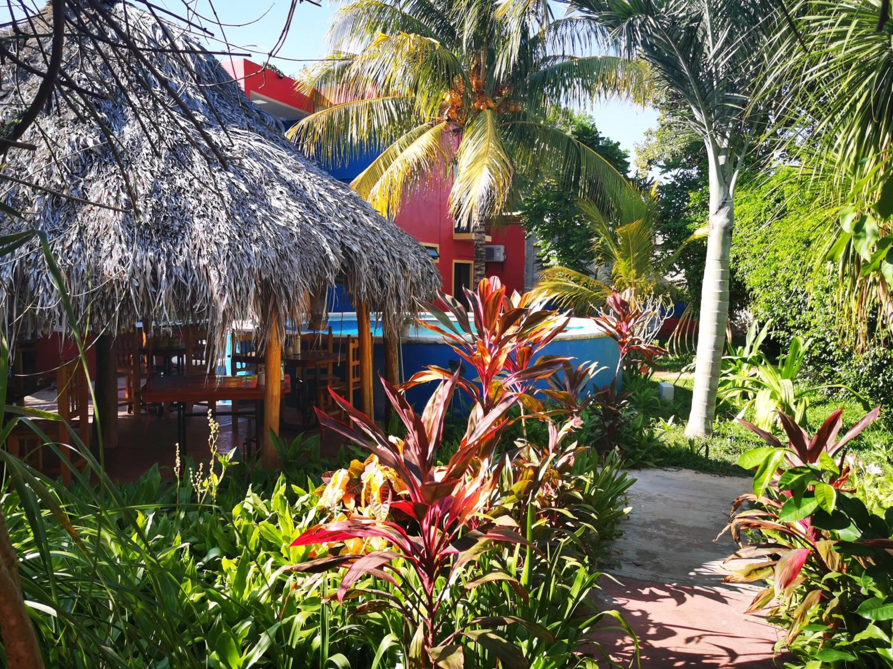 Spring in Casa Xu´unan