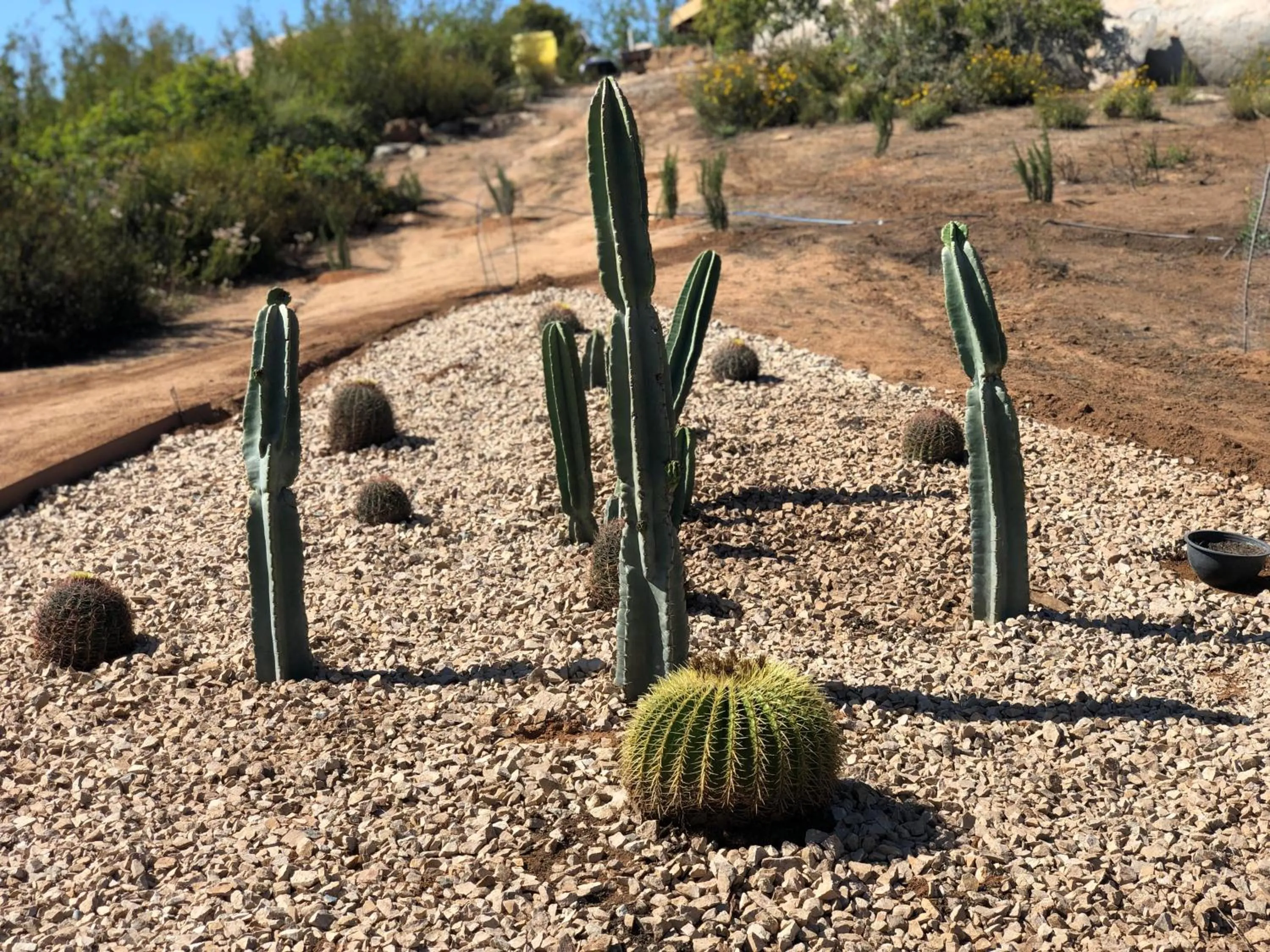Natural landscape in Casa Misiones Glamping