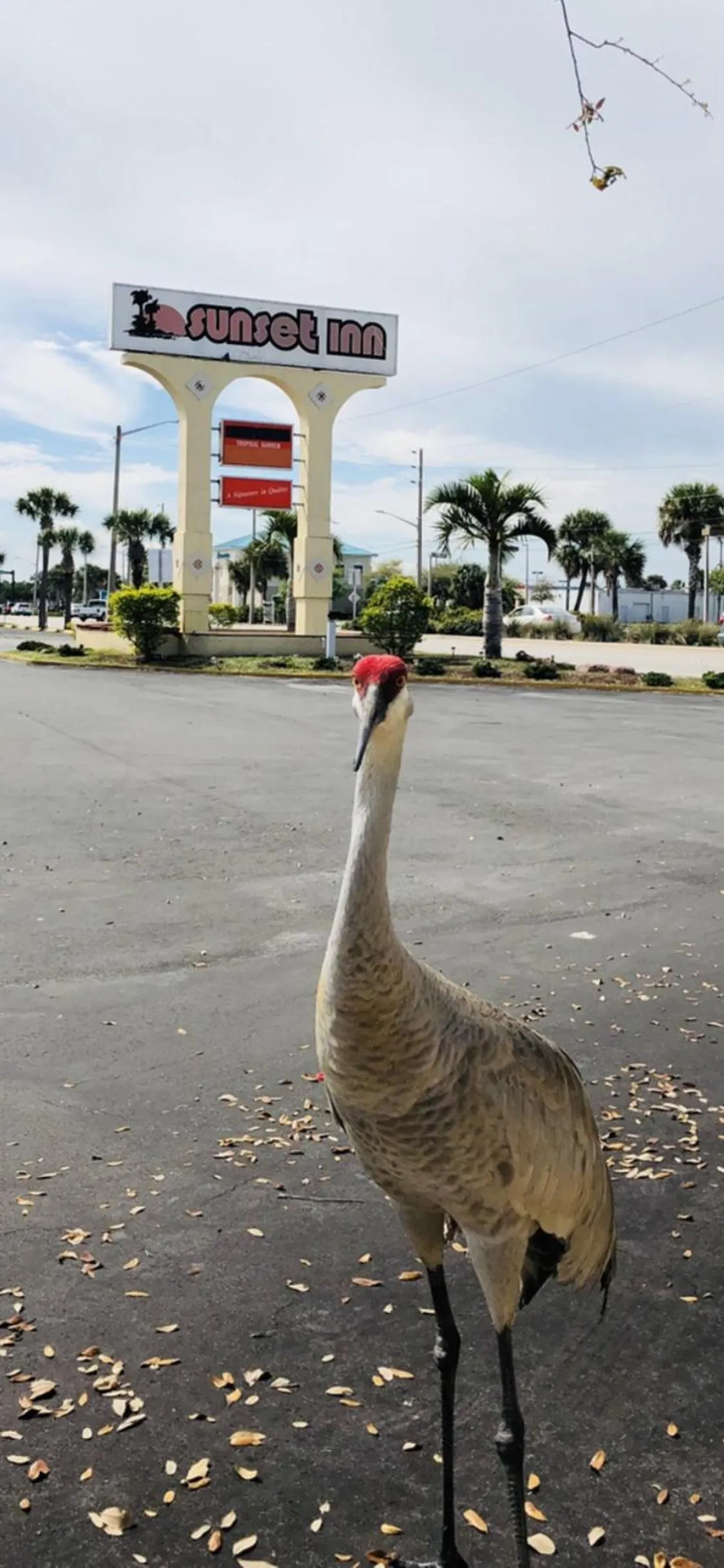 Sunset Inn- Fort Pierce, FL