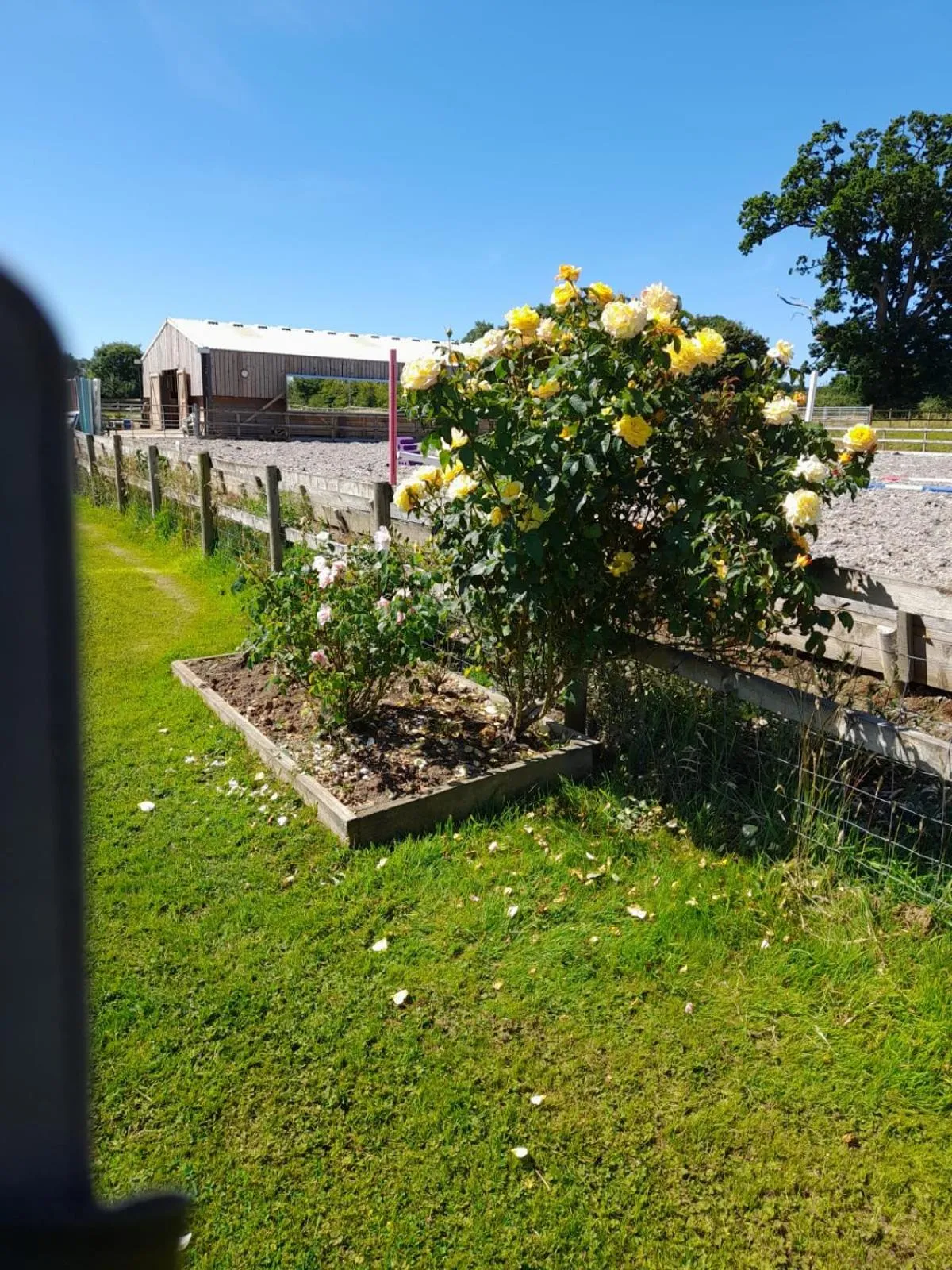Garden in Folly Fields Farm B&B