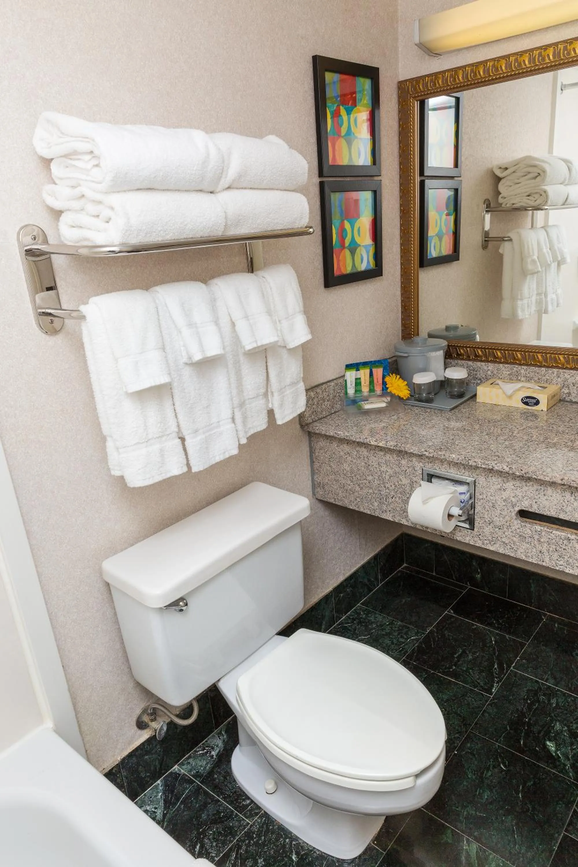 Bathroom in Park Inn By Radisson Sharon