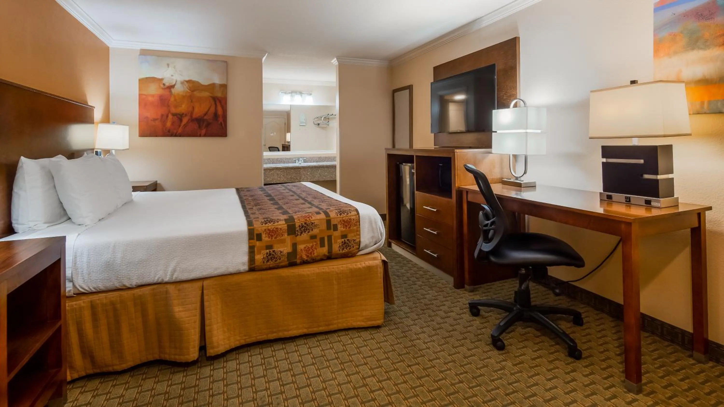 King Room - single occupancy - Non-Smoking in Best Western Skyline Motor Lodge