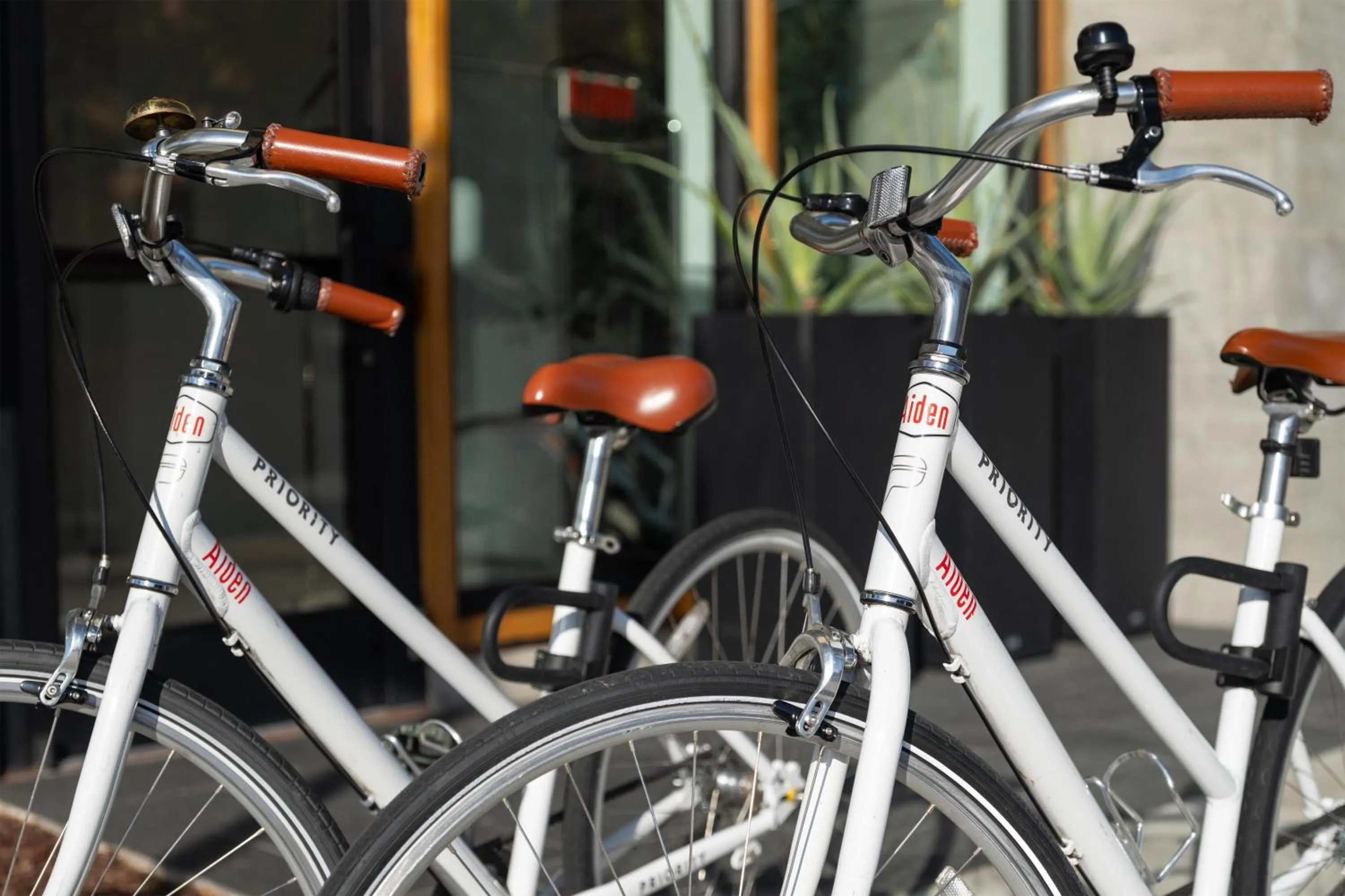 Sports in Aiden by Best Western Berkeley