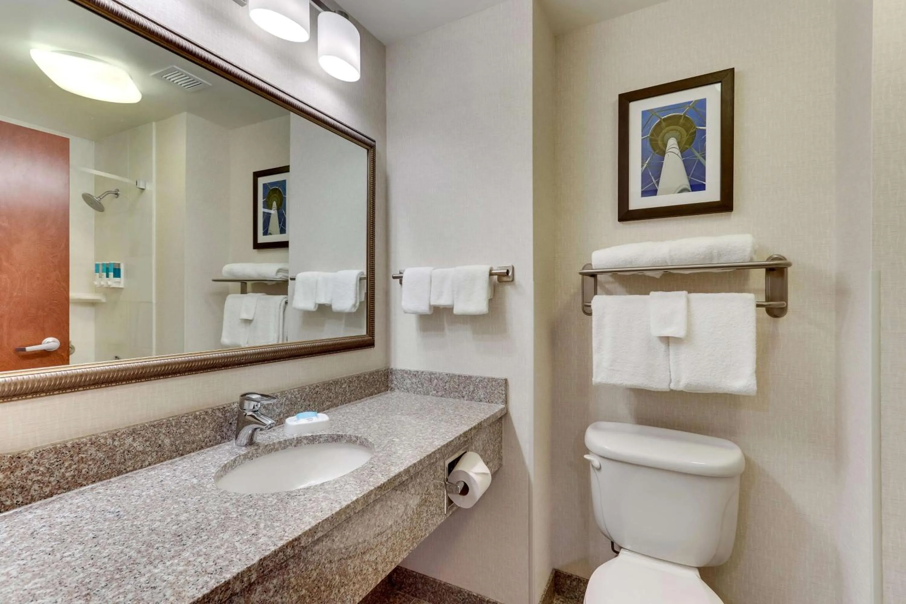 Bathroom in Drury Inn & Suites Sikeston