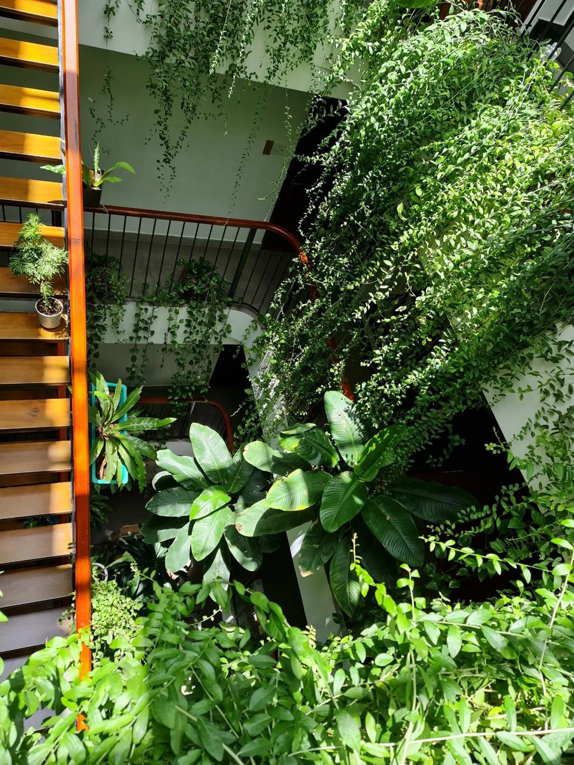 Garden in Nicobar Con Dao Hotel