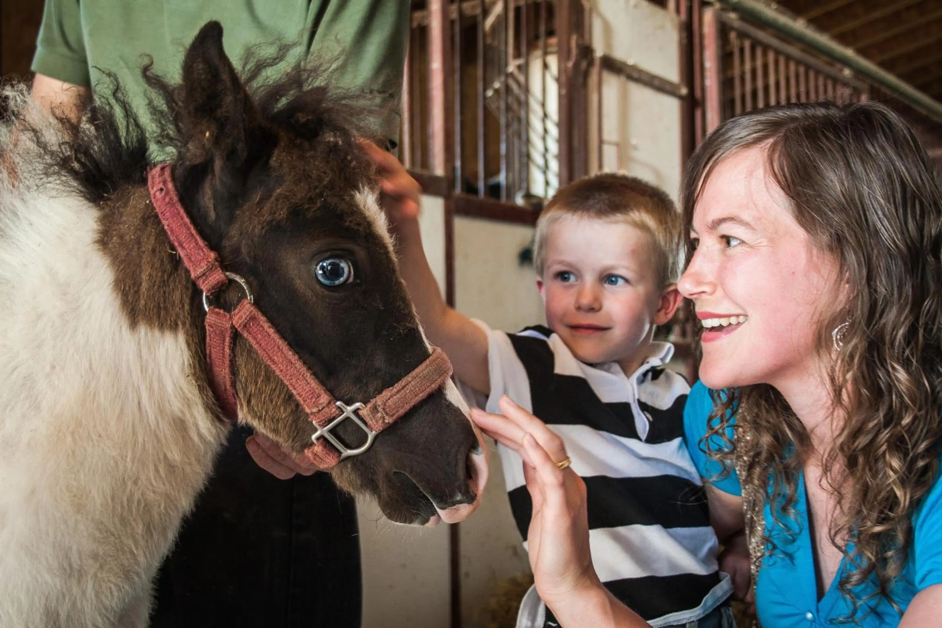 People in Blue Gate Garden Inn