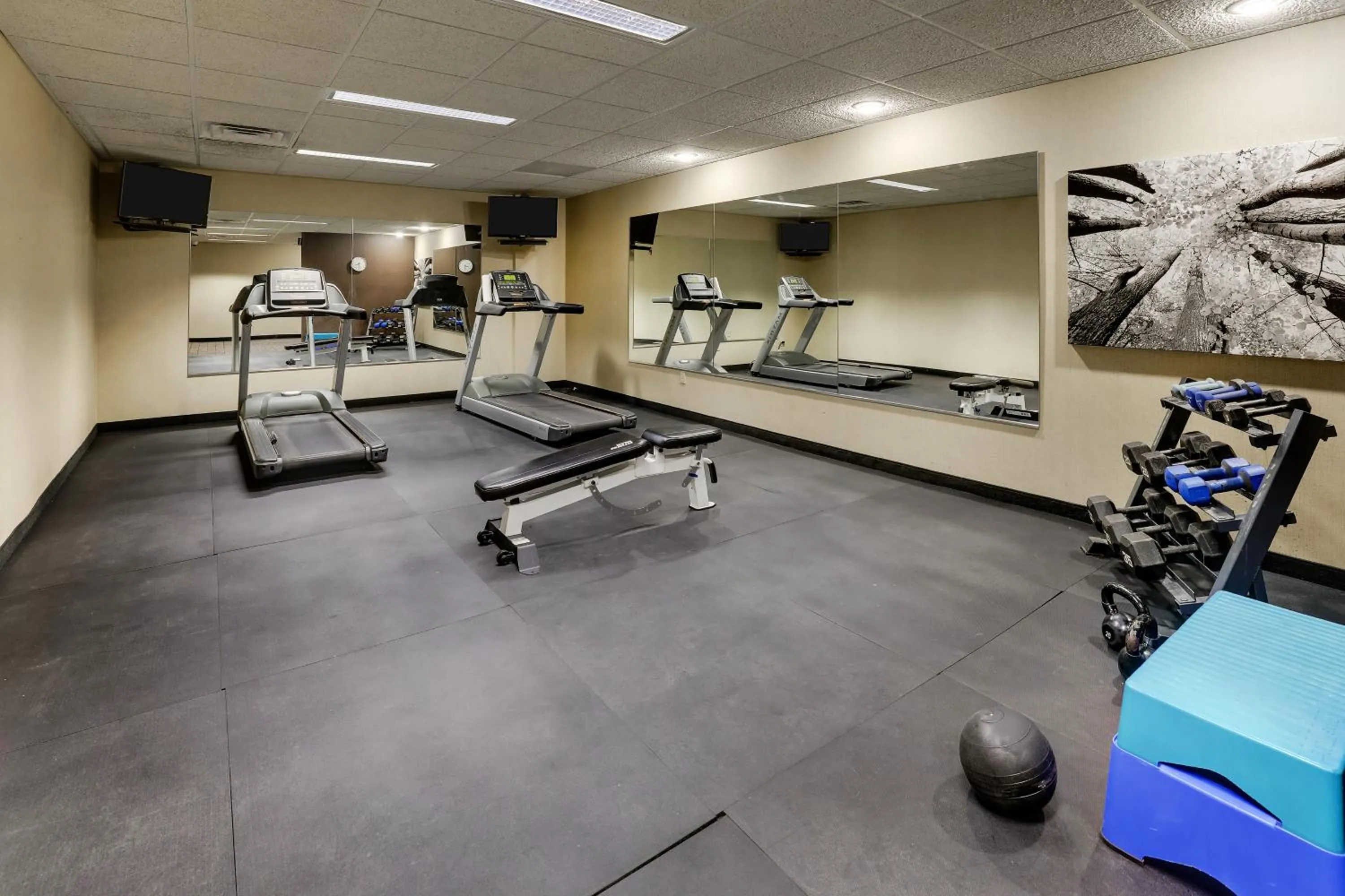Fitness centre/facilities in Stoney Creek Hotel La Crosse - Onalaska