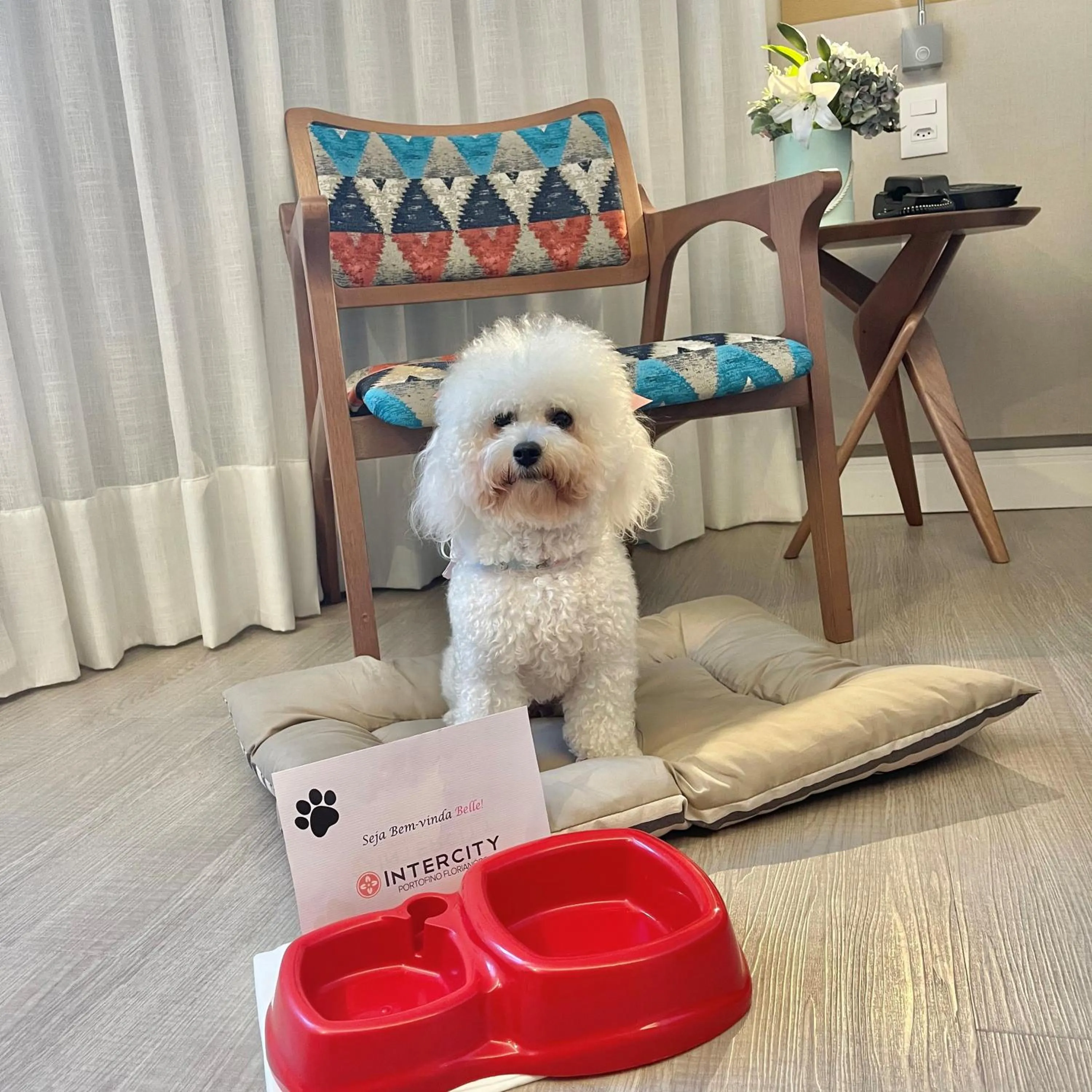 Pets in Intercity Portofino Florianópolis