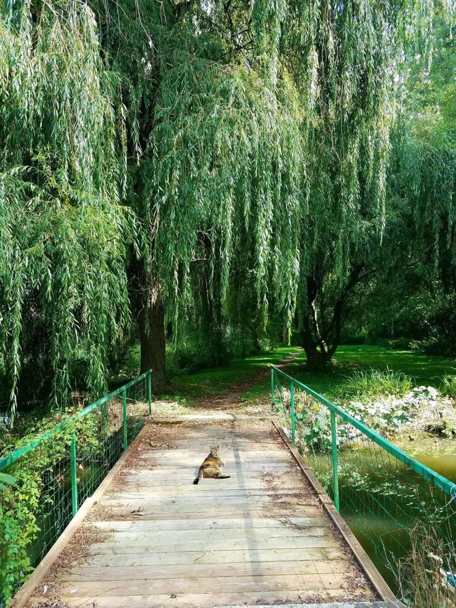 Property building in Propriété Les Ruisseaux