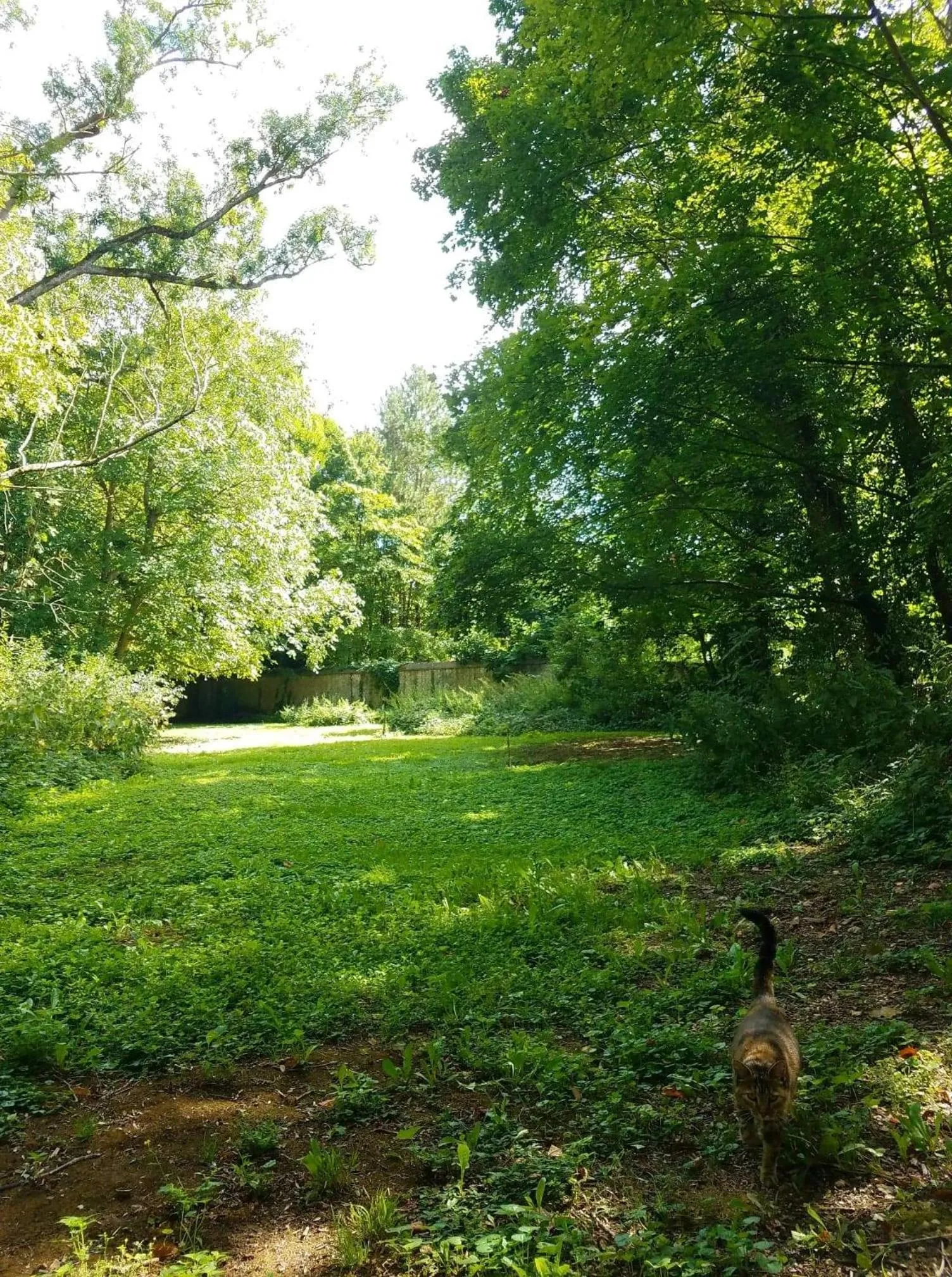 Property building in Propriété Les Ruisseaux