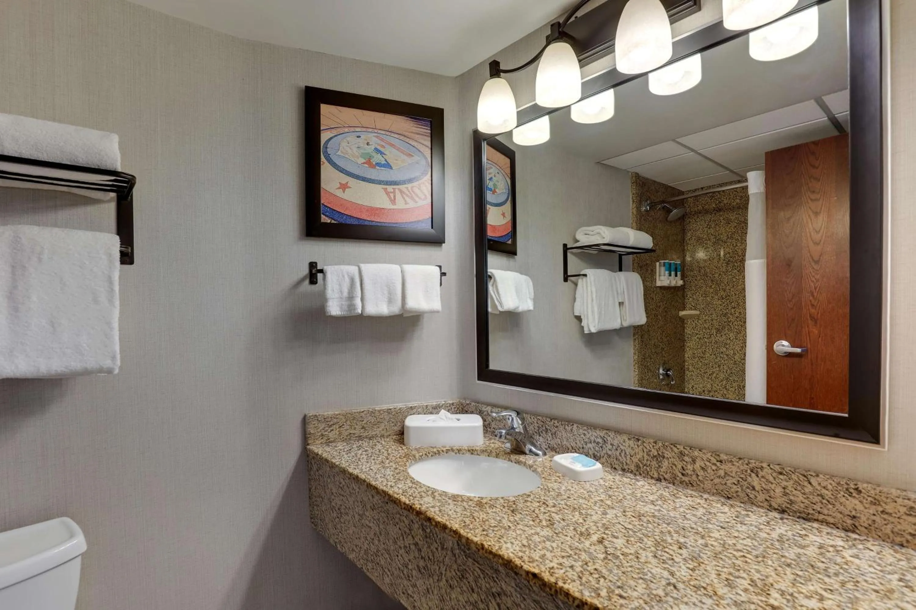 Bathroom in Drury Inn & Suites Phoenix Airport