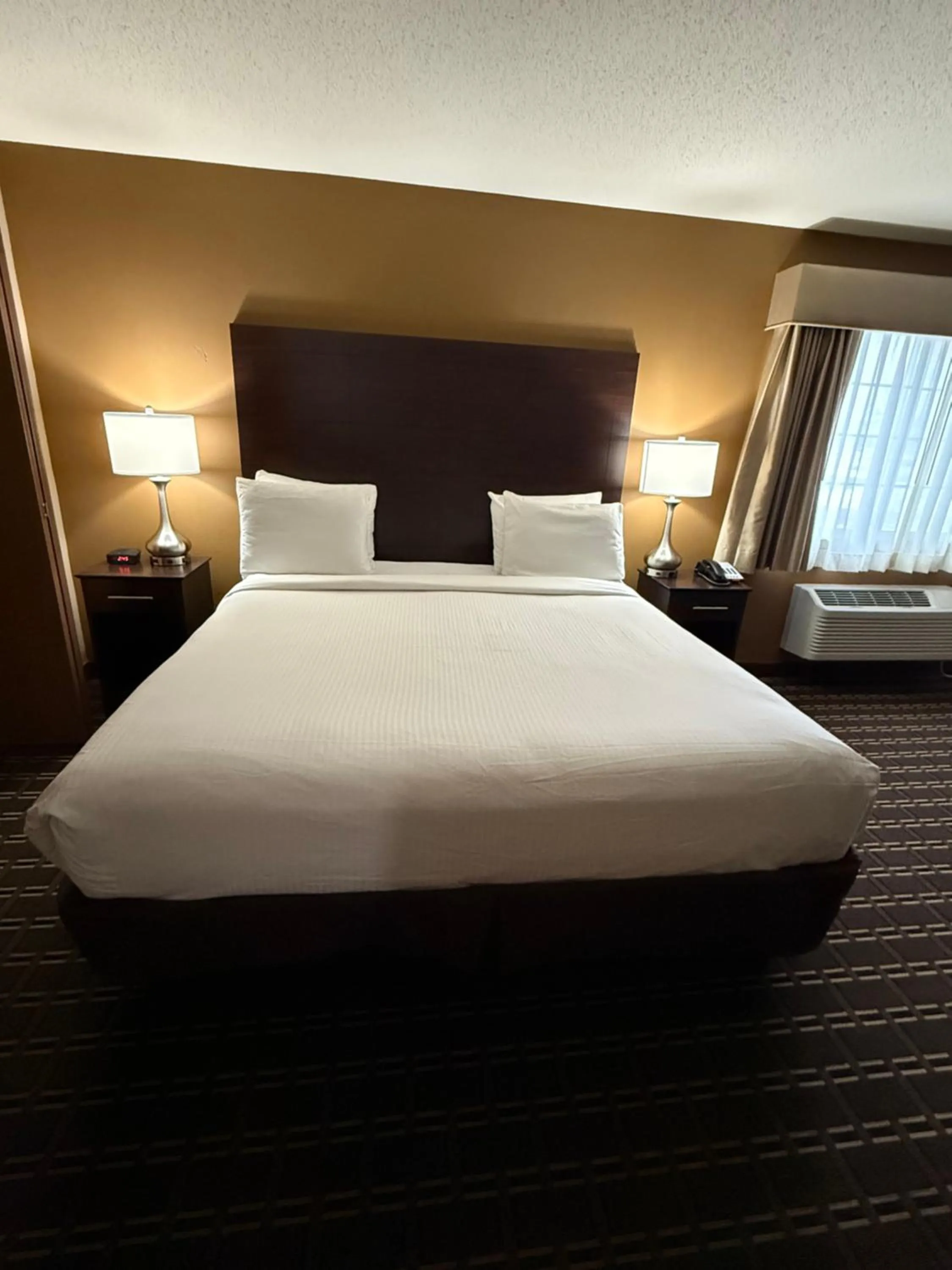 Bed in Best Western Dodgeville Inn & Suites