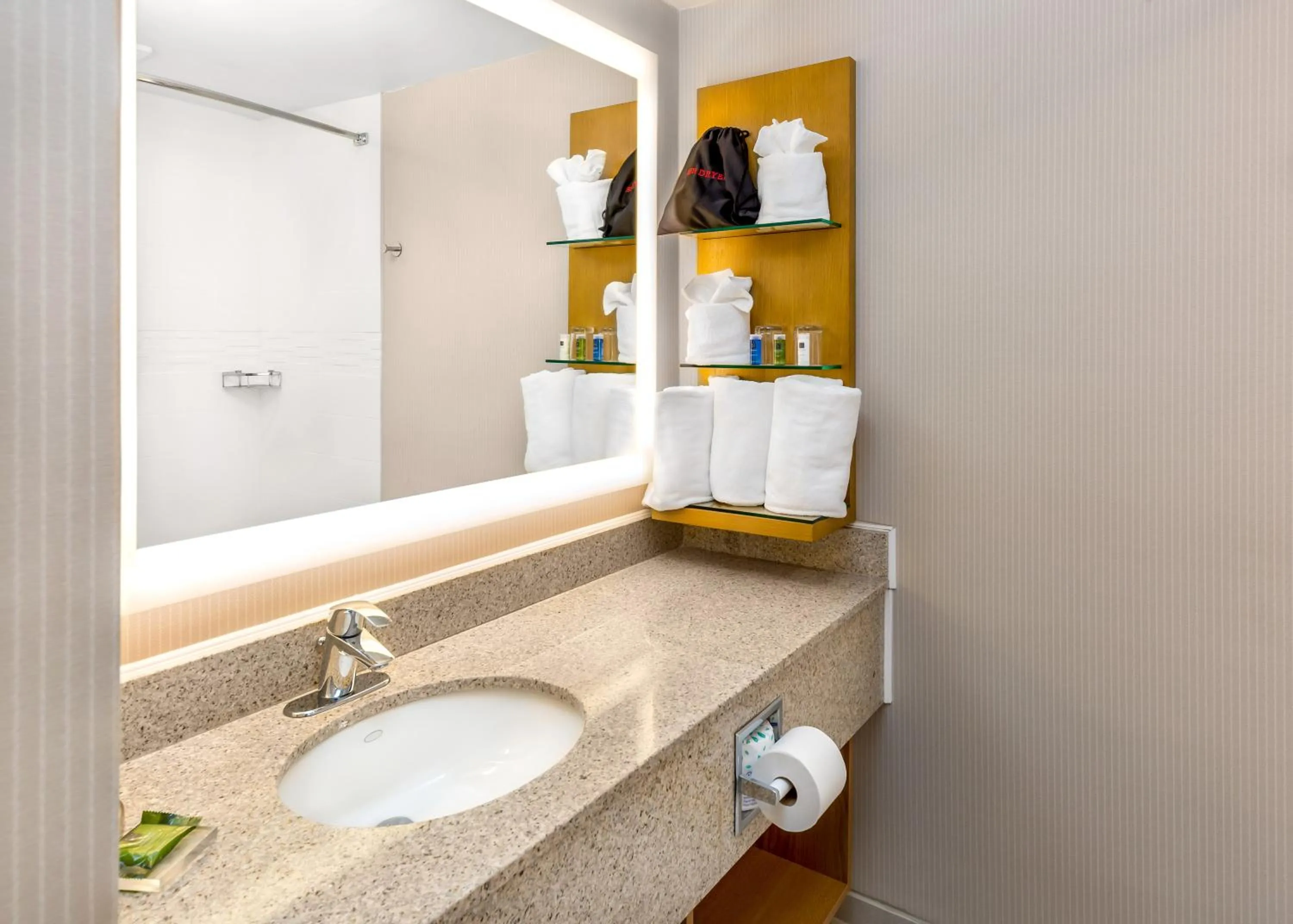Bathroom in Delta Hotels by Marriott Utica