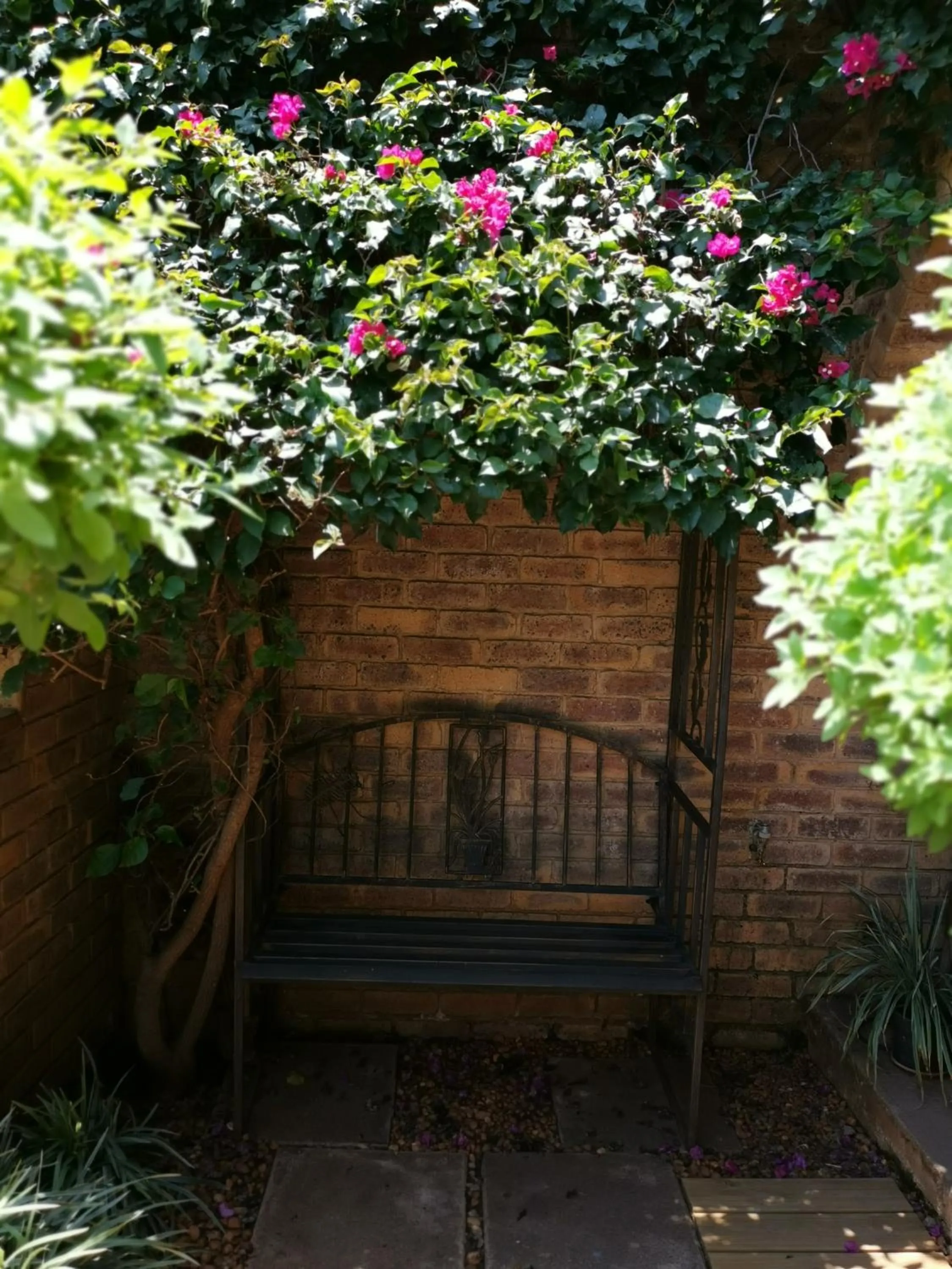 Patio in Bastille de Blignaut B&B