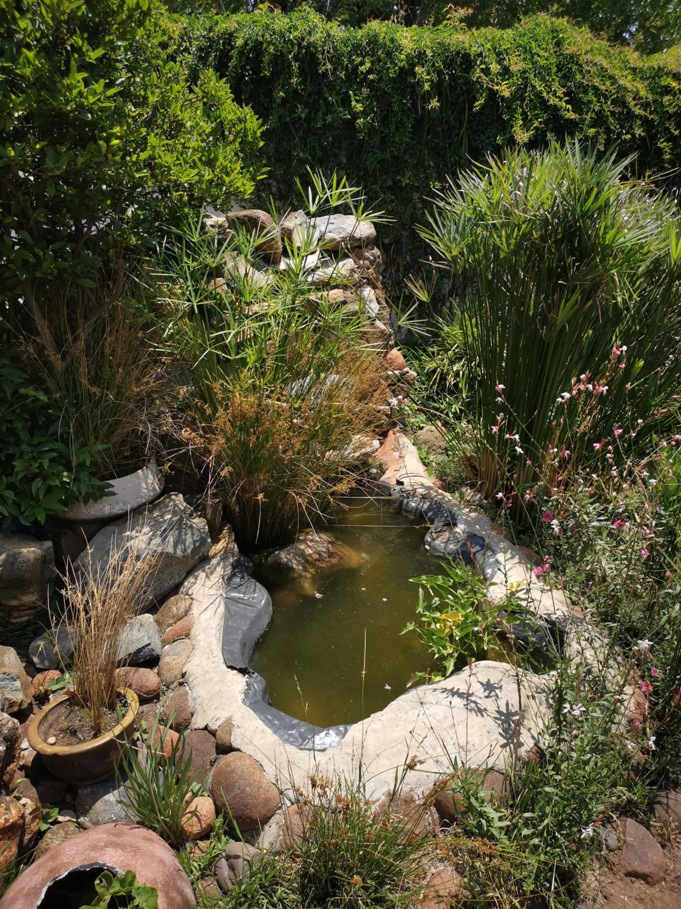 View (from property/room) in Bastille de Blignaut B&B