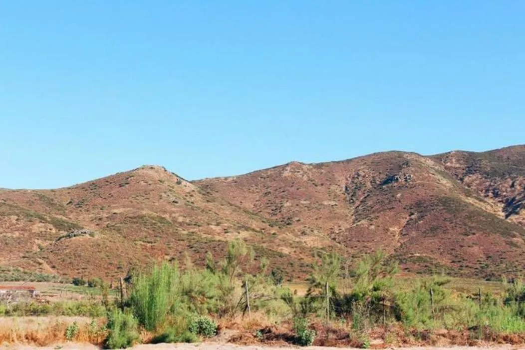 Quintas Marlet en la ruta del vino