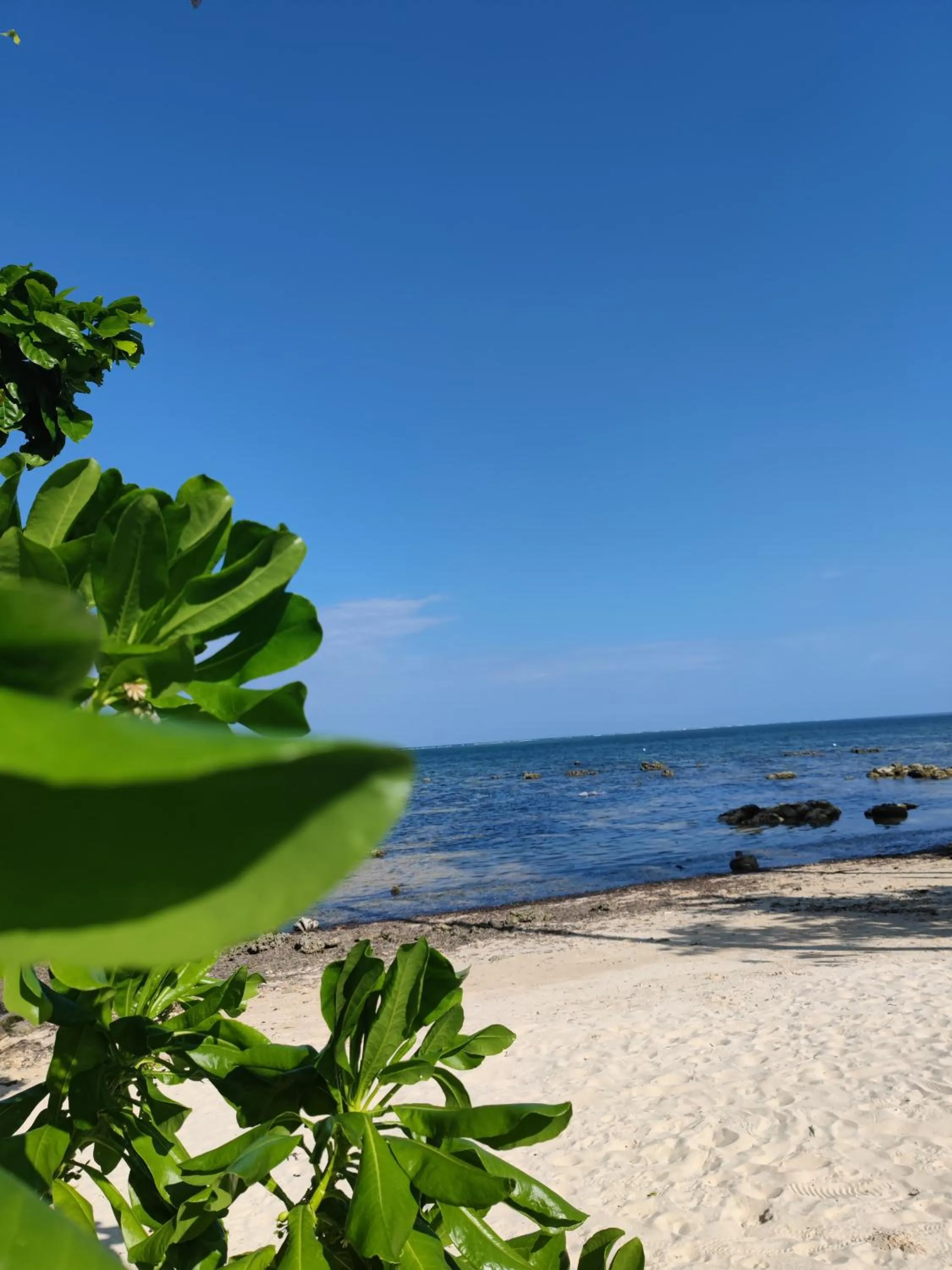 Daluyong Beach Resort