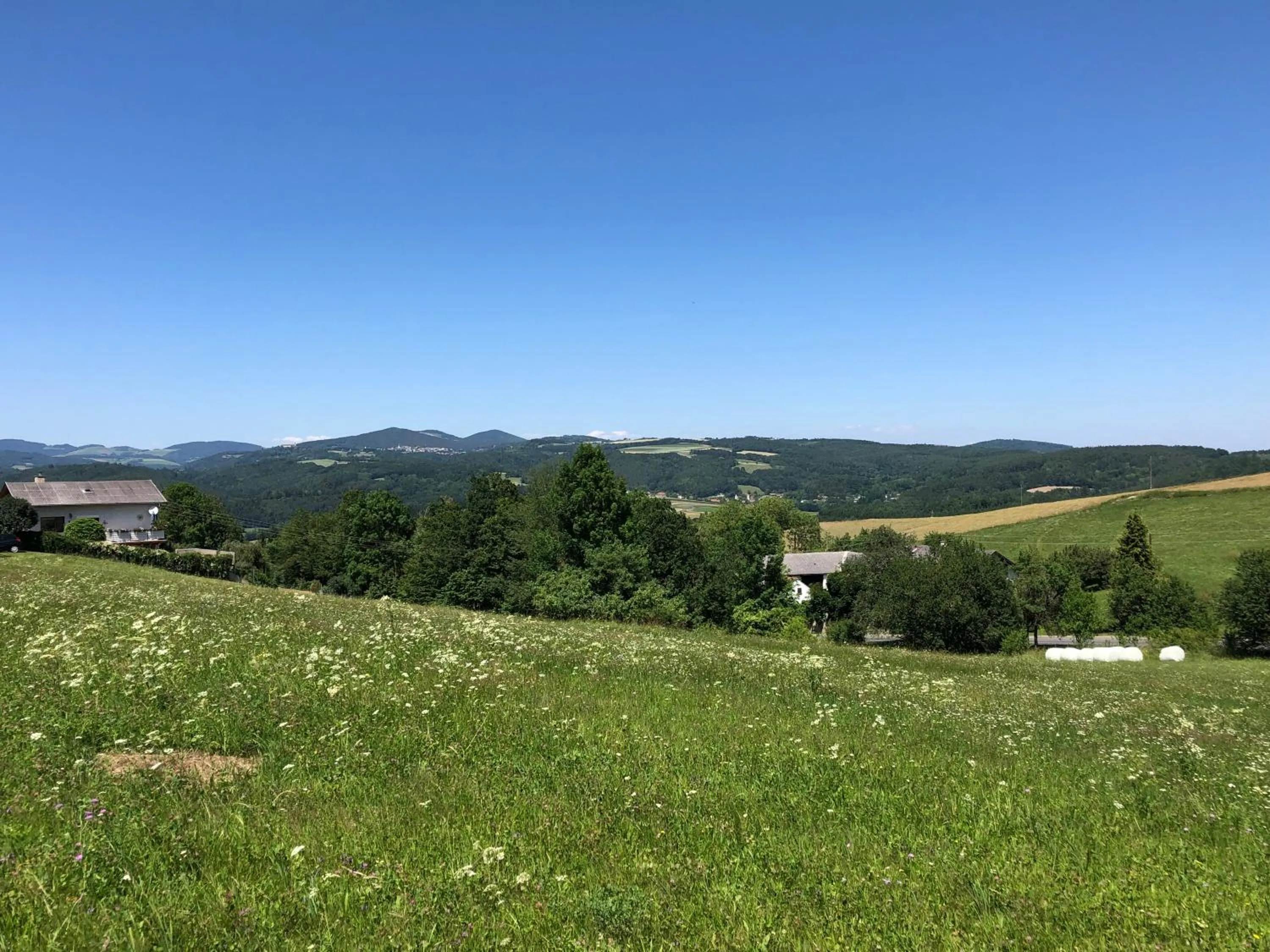 Mountain view in Gasthof Koller