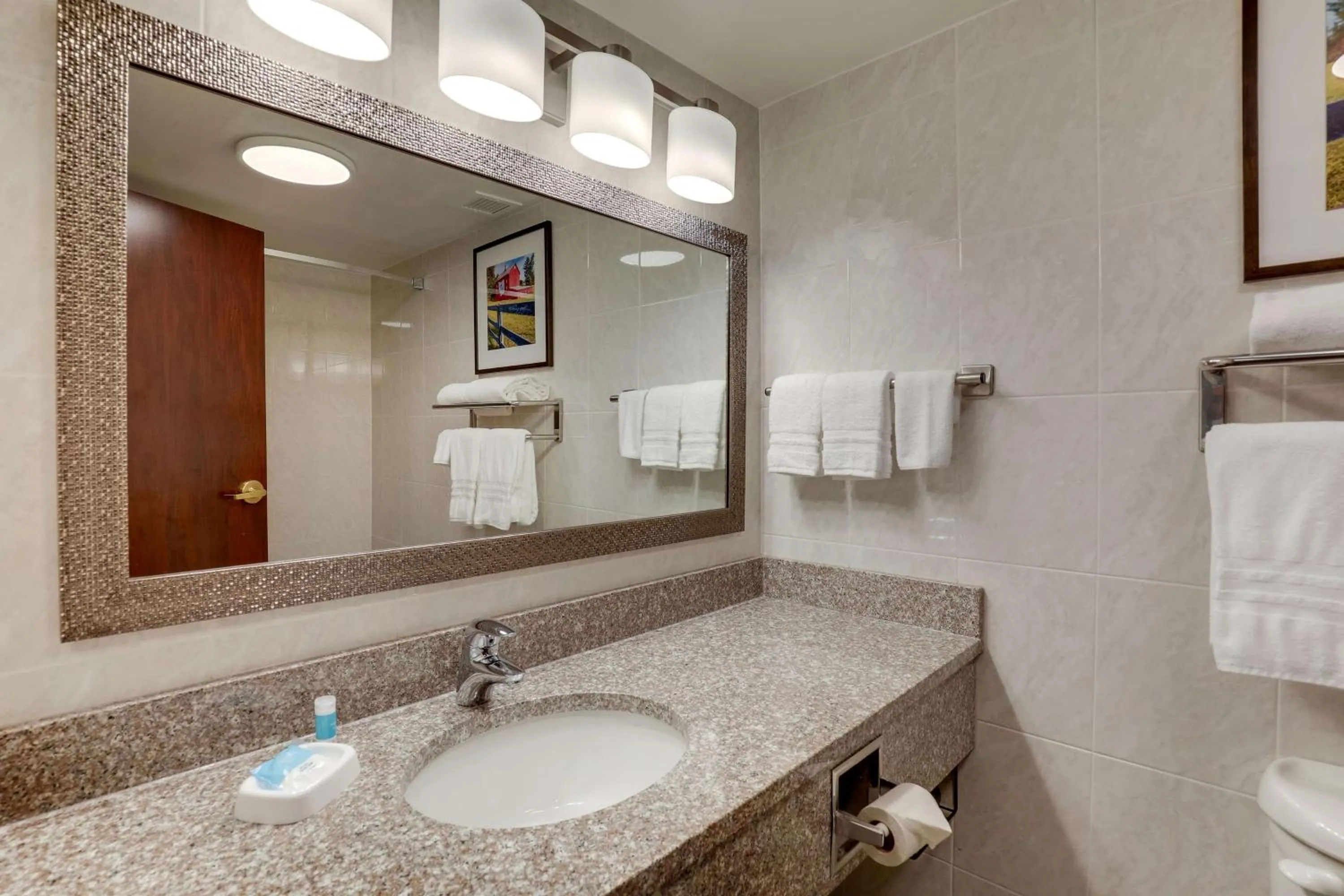 Bathroom in Drury Plaza Hotel Columbus Downtown