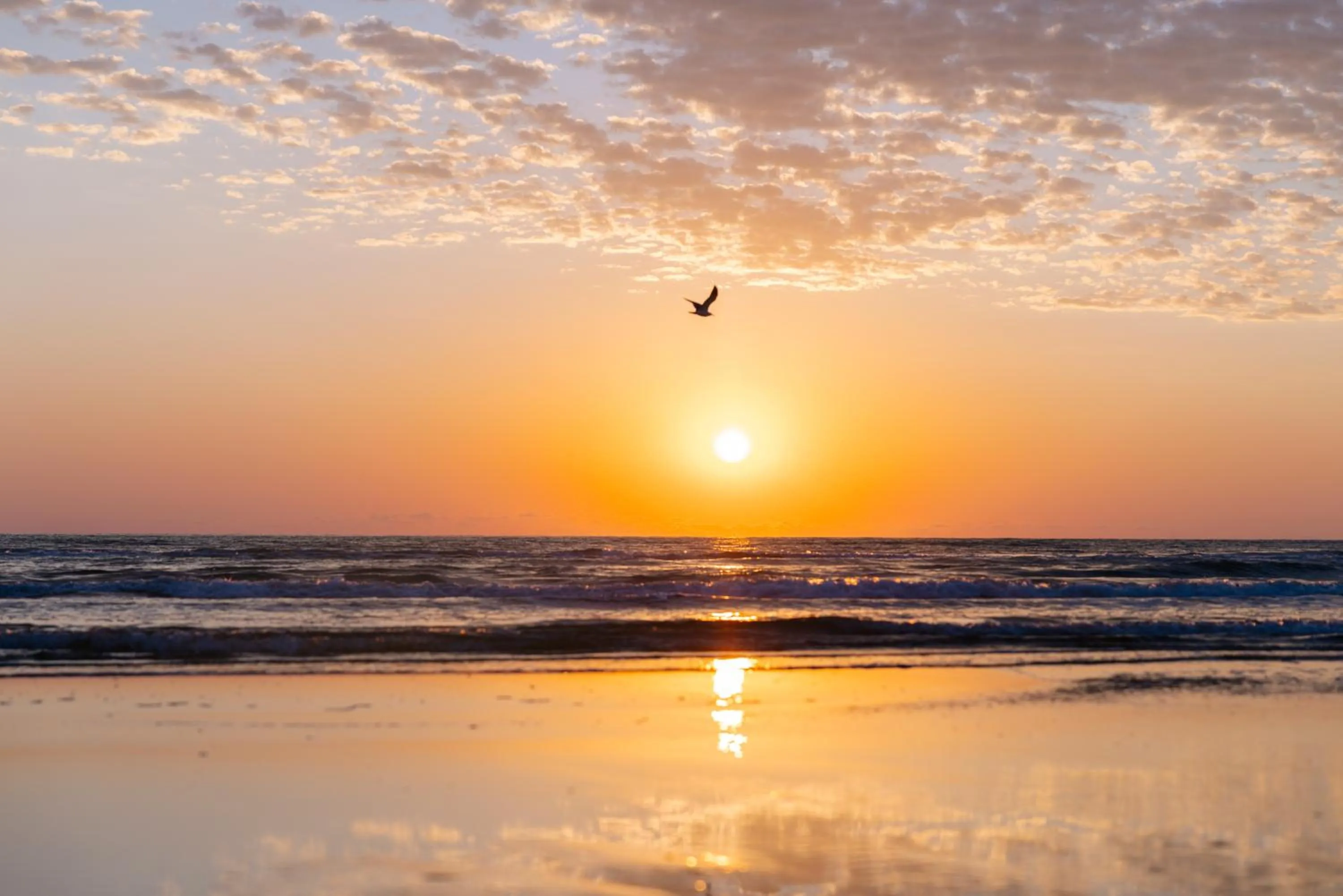 Beach in Margaritaville Beach Resort South Padre Island
