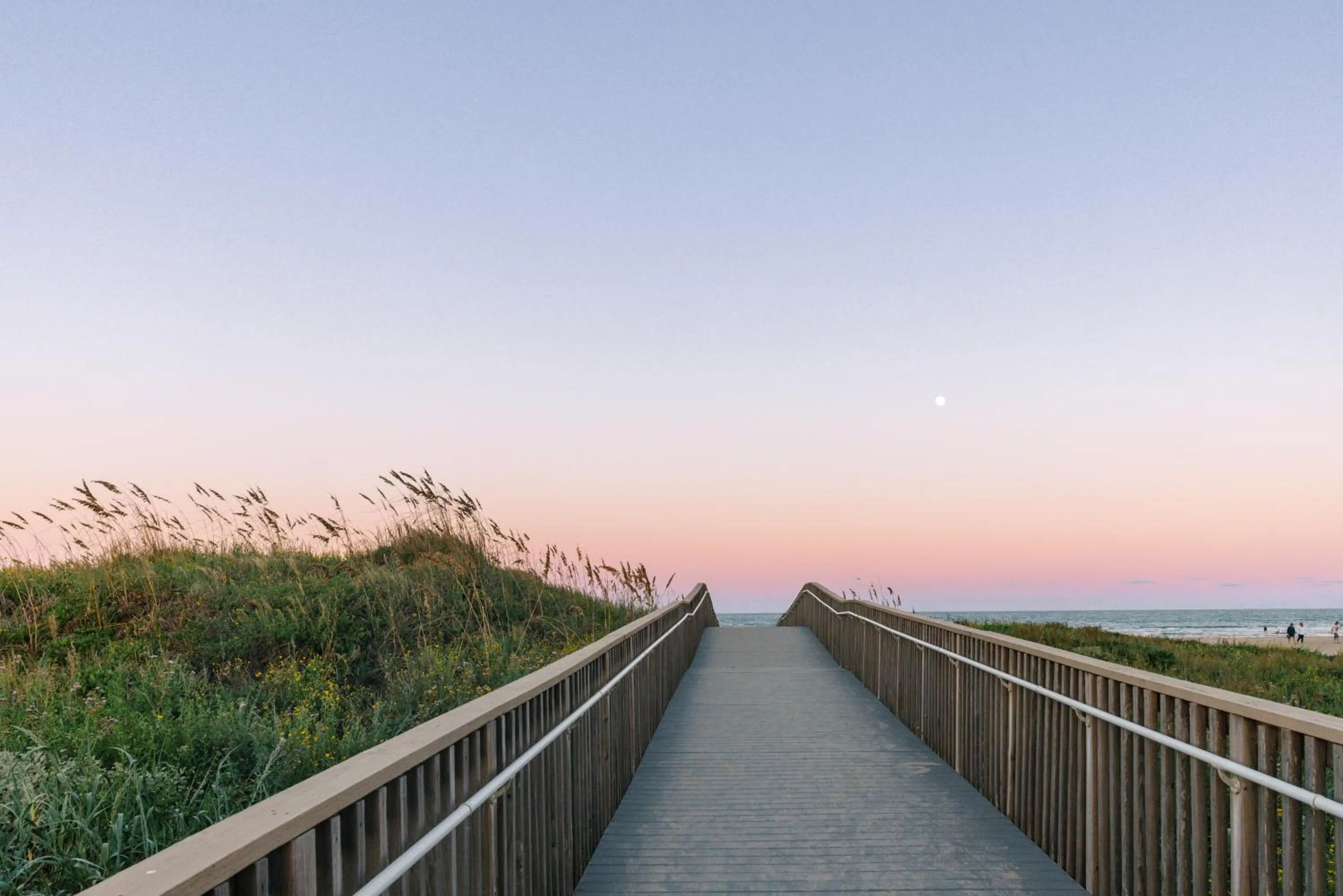 Natural landscape in Margaritaville Beach Resort South Padre Island