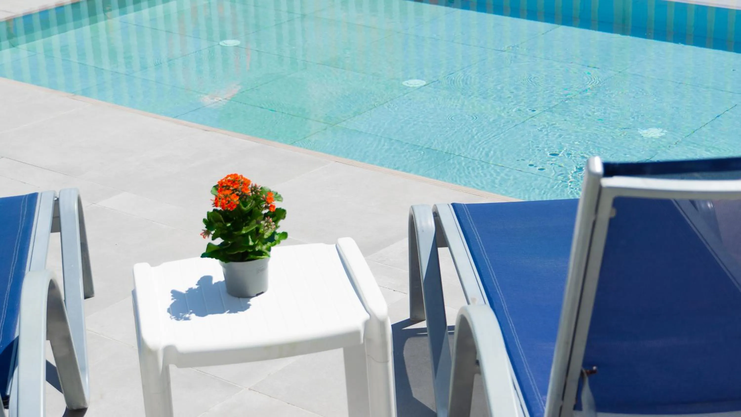 Swimming pool in Hotel Playa de la Plata