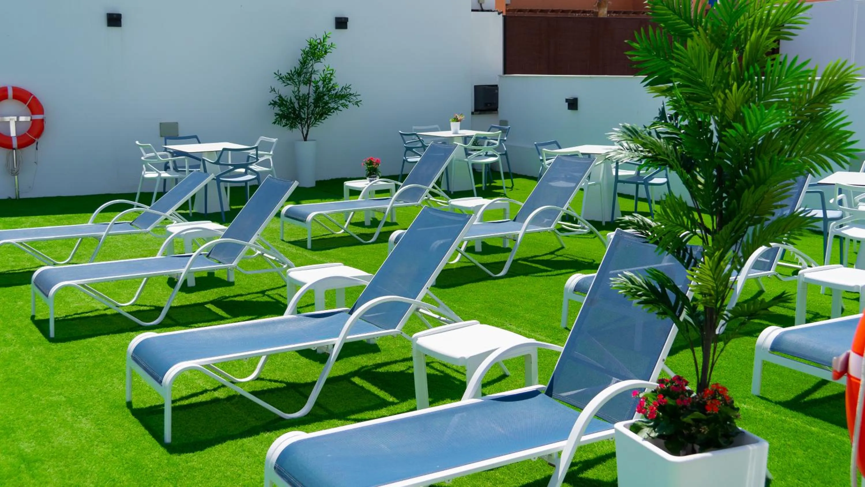 Garden in Hotel Playa de la Plata