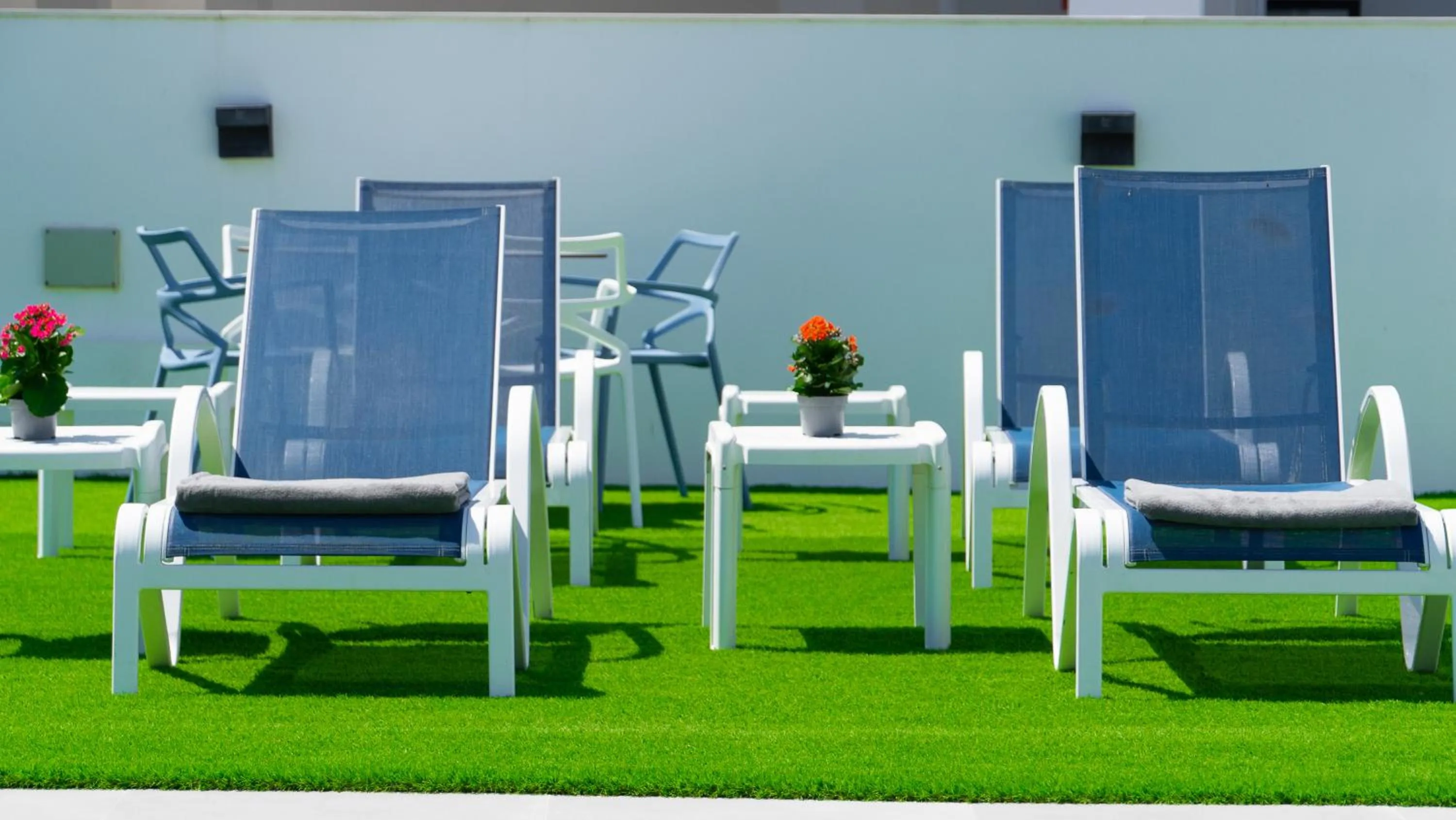Garden in Hotel Playa de la Plata