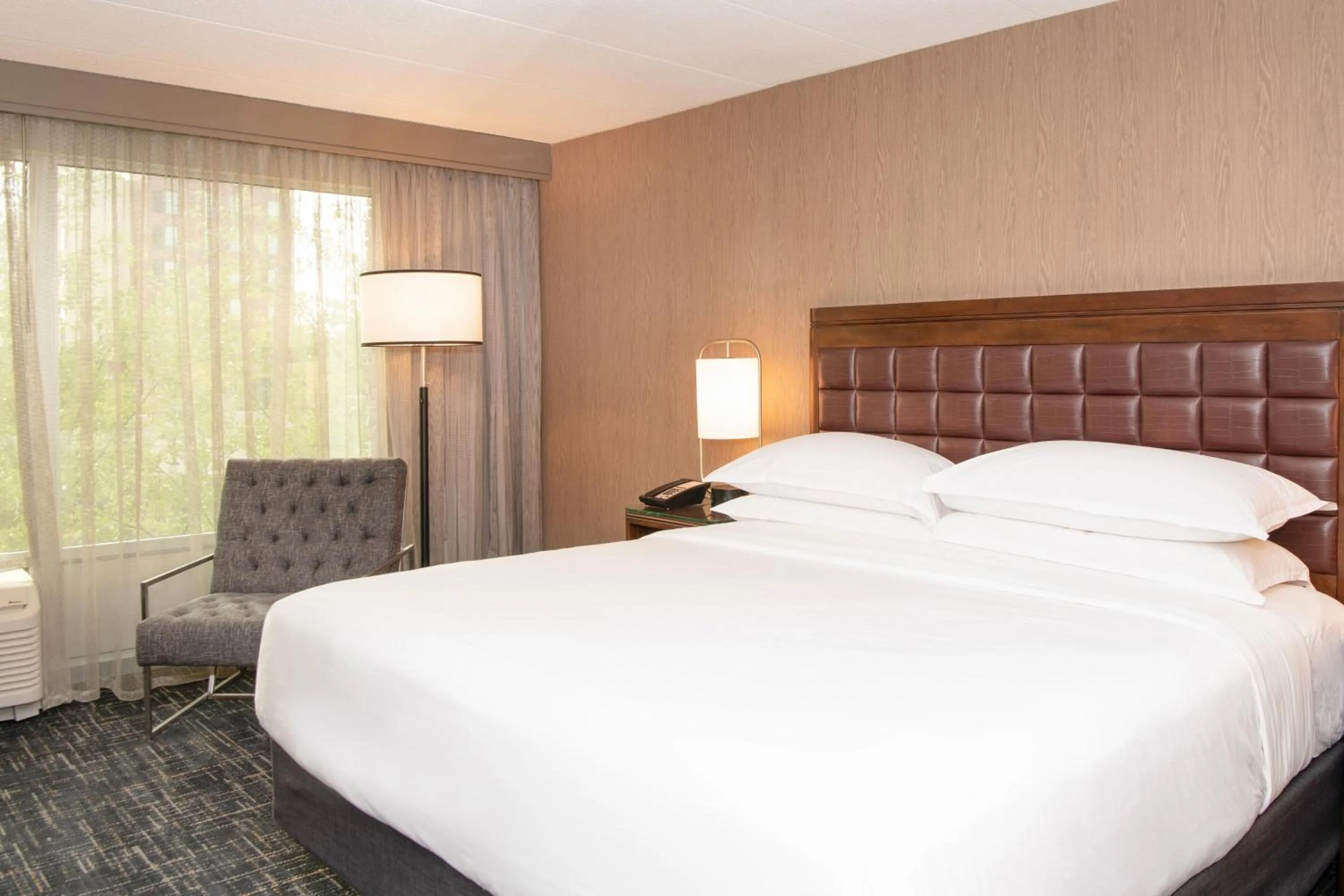 Photo of the whole room, Bed in Sheraton Ann Arbor Hotel